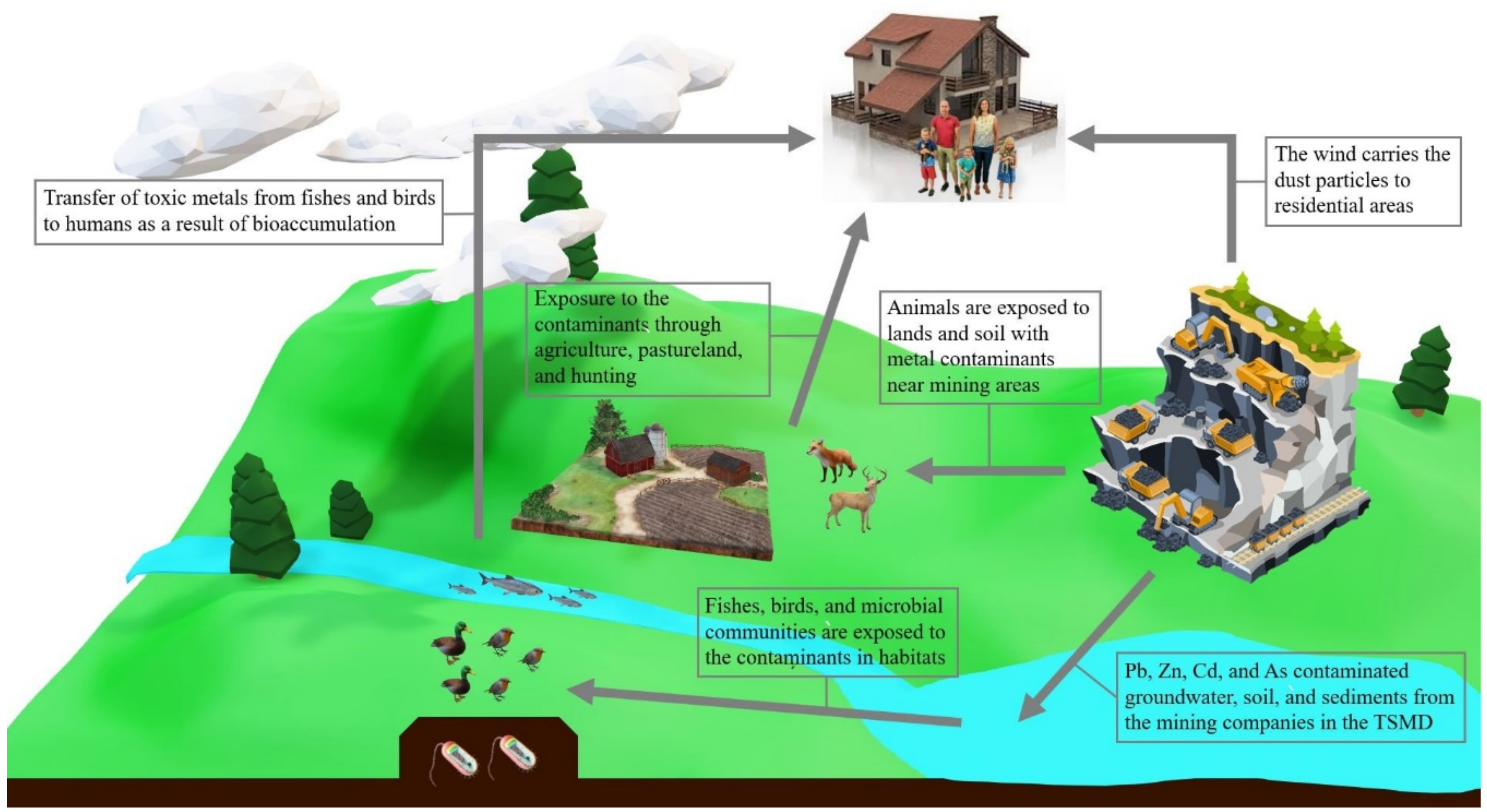 Ijerph 17 06783 g005