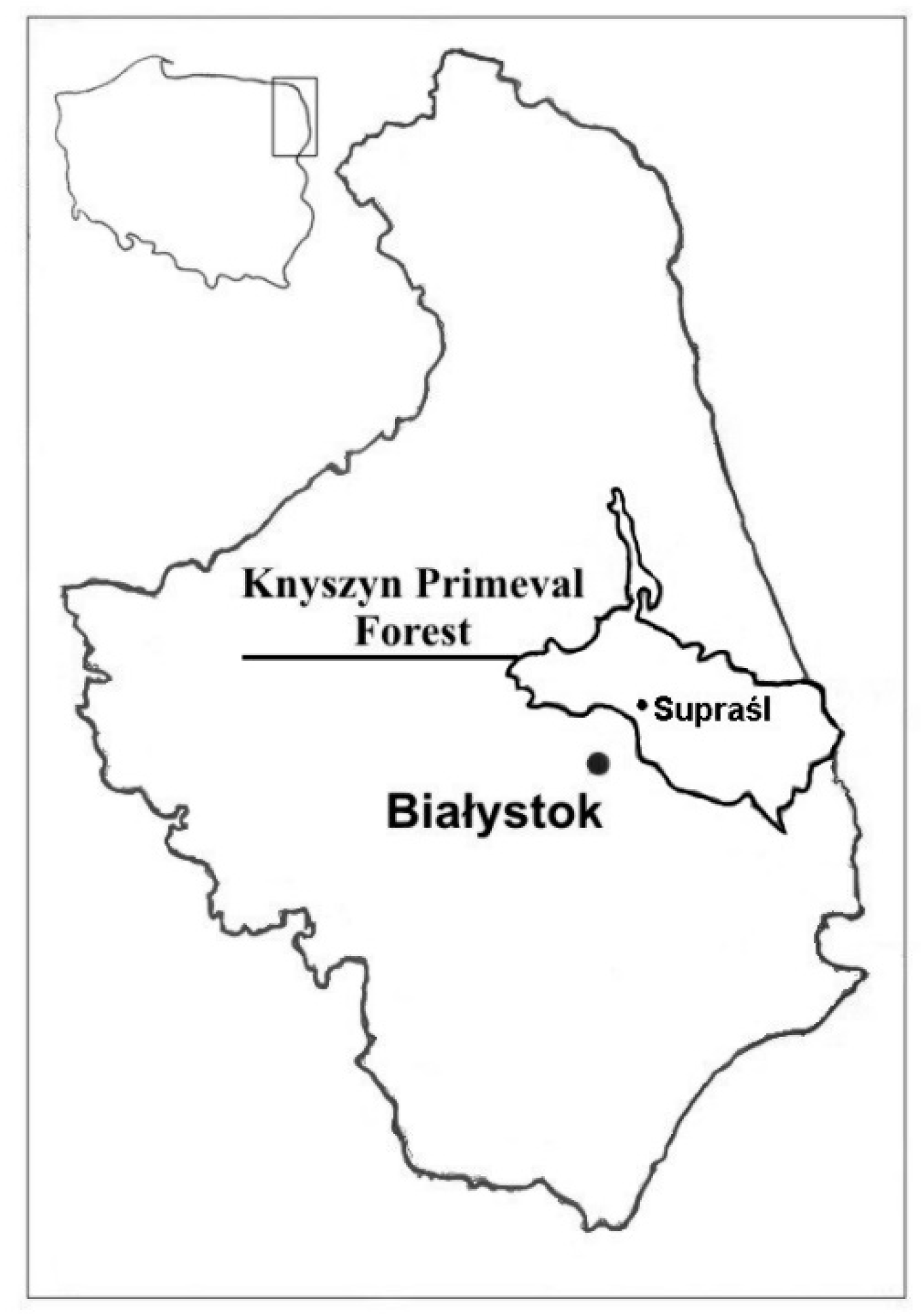 Ijerph 17 06819 g001