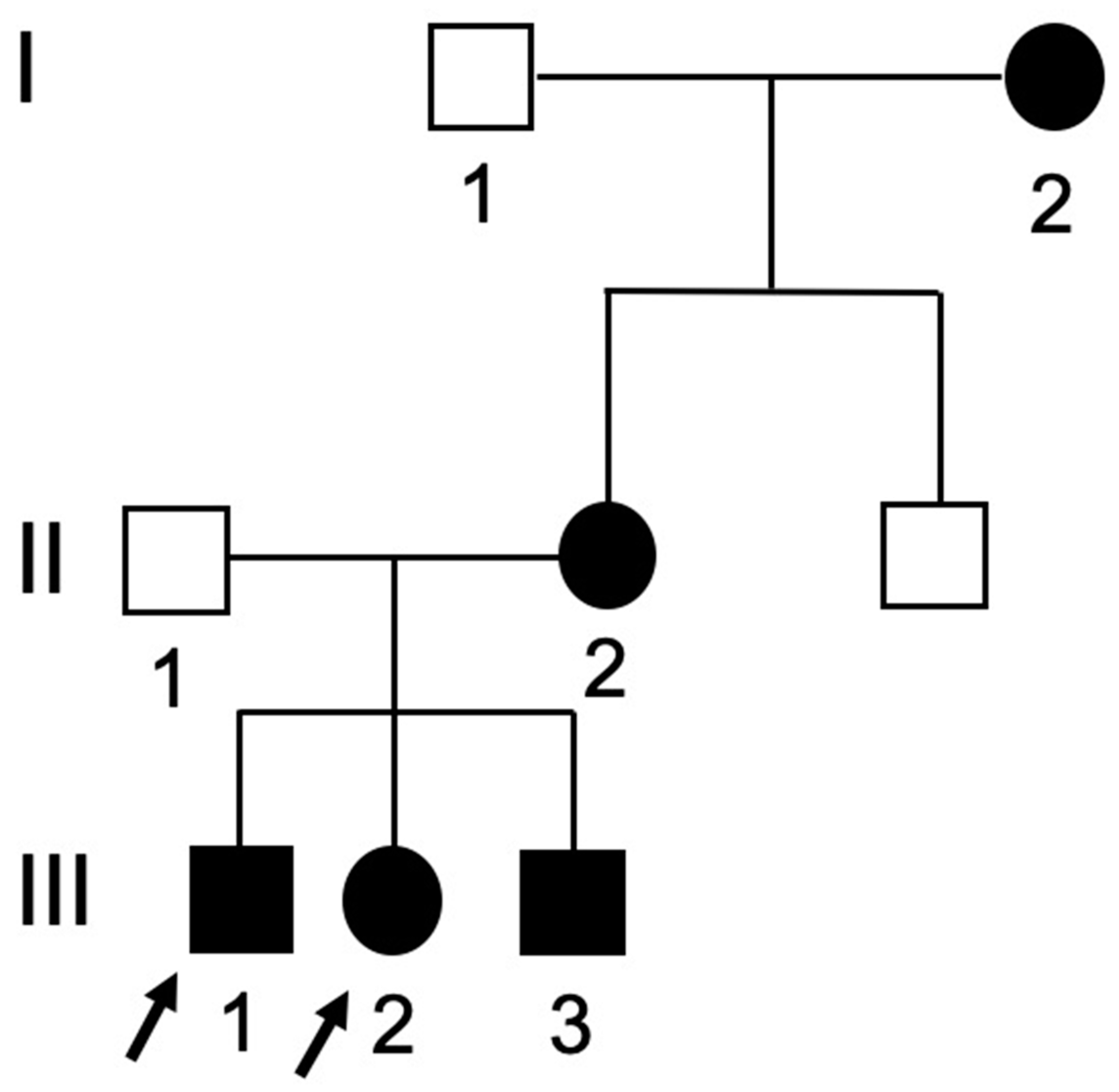 Ijerph 17 07029 g001