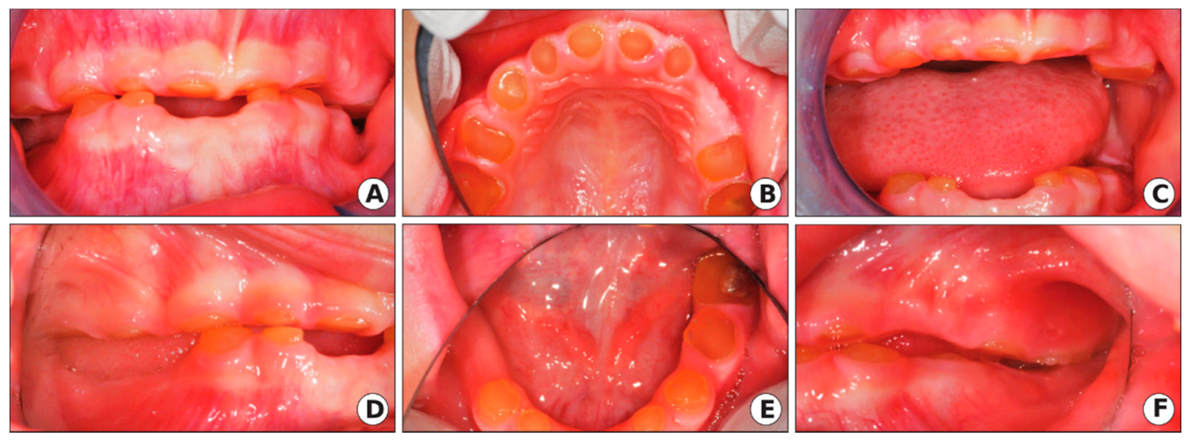 Ijerph 17 07029 g003