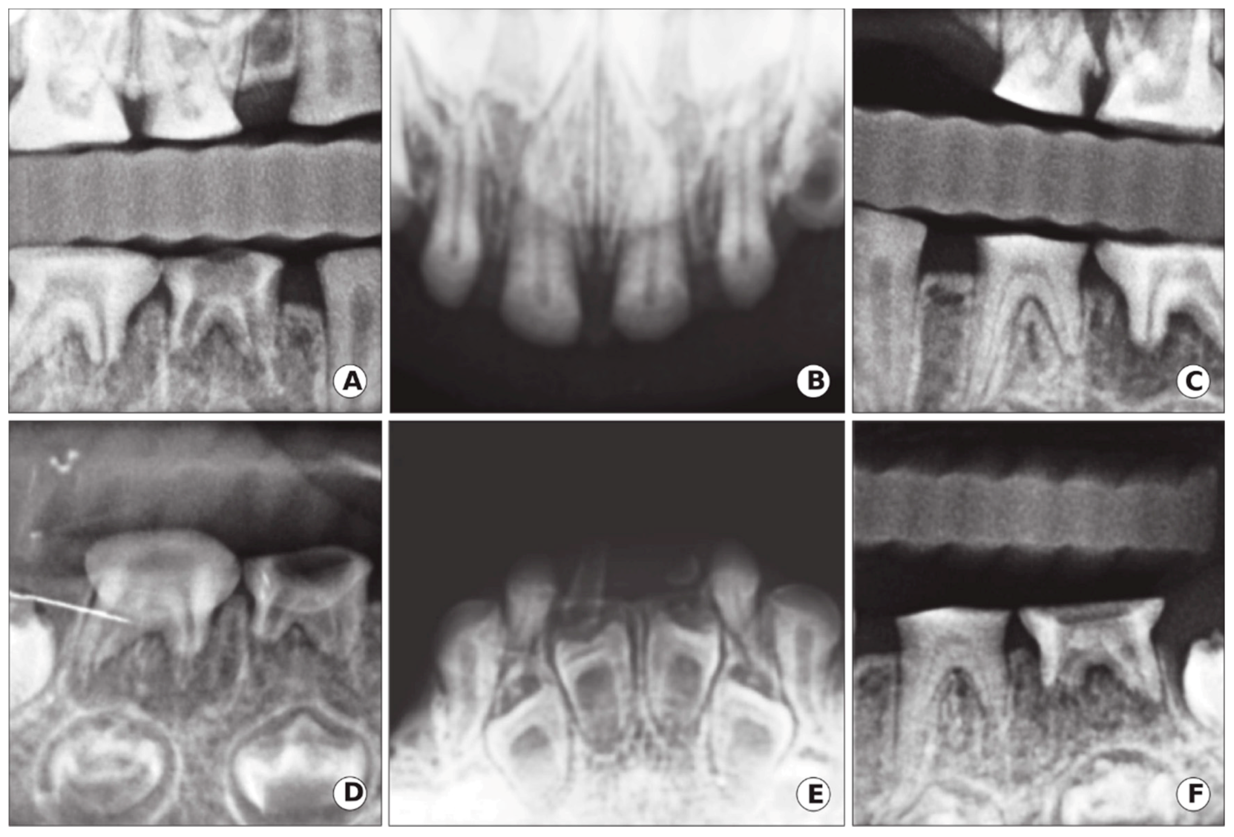 Ijerph 17 07029 g004