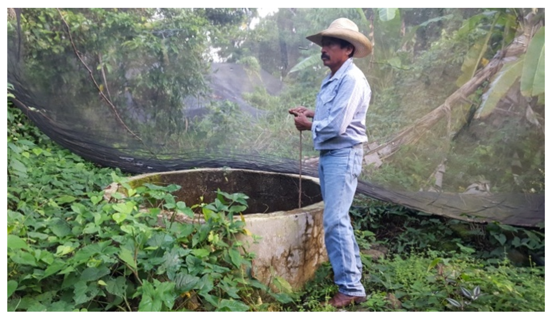 Ijerph 17 07102 g005