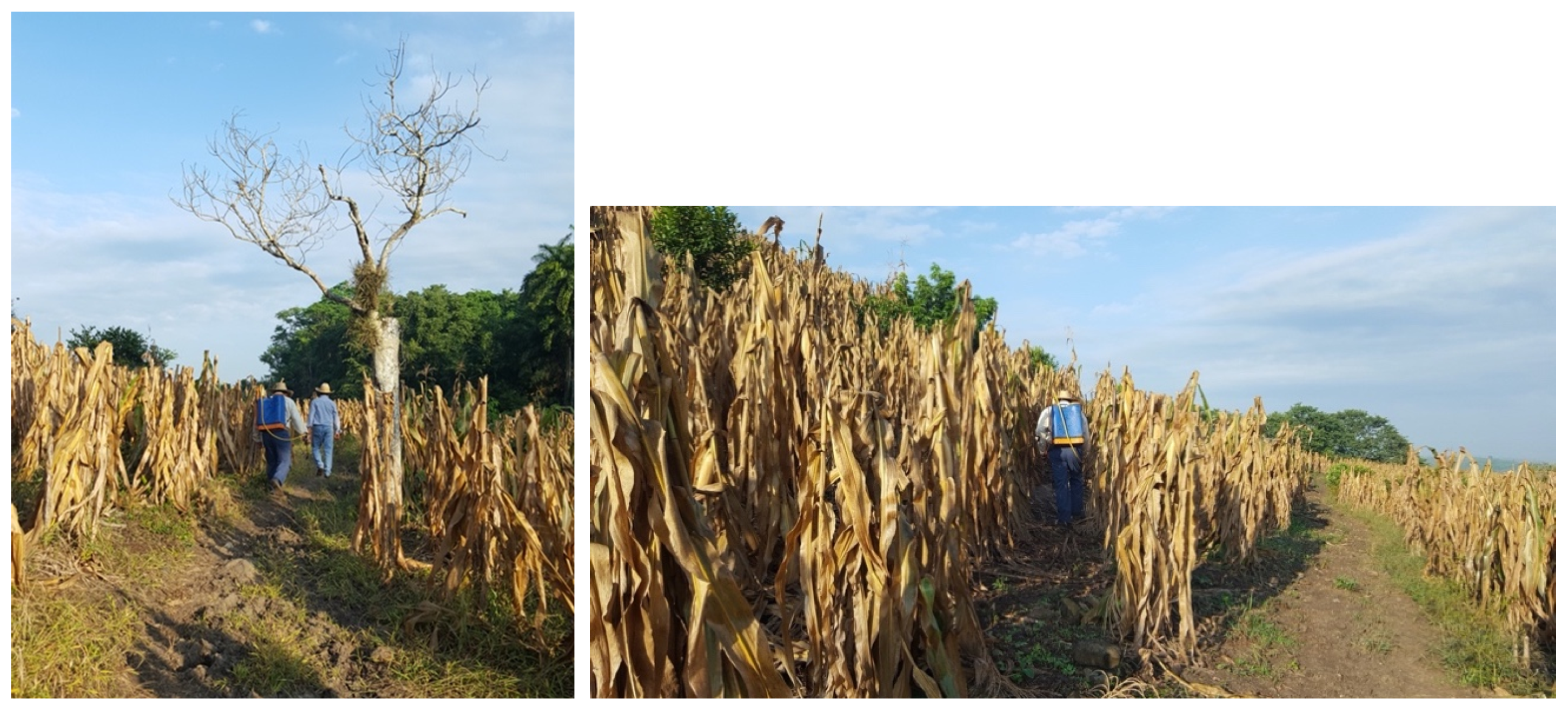 Ijerph 17 07102 g006