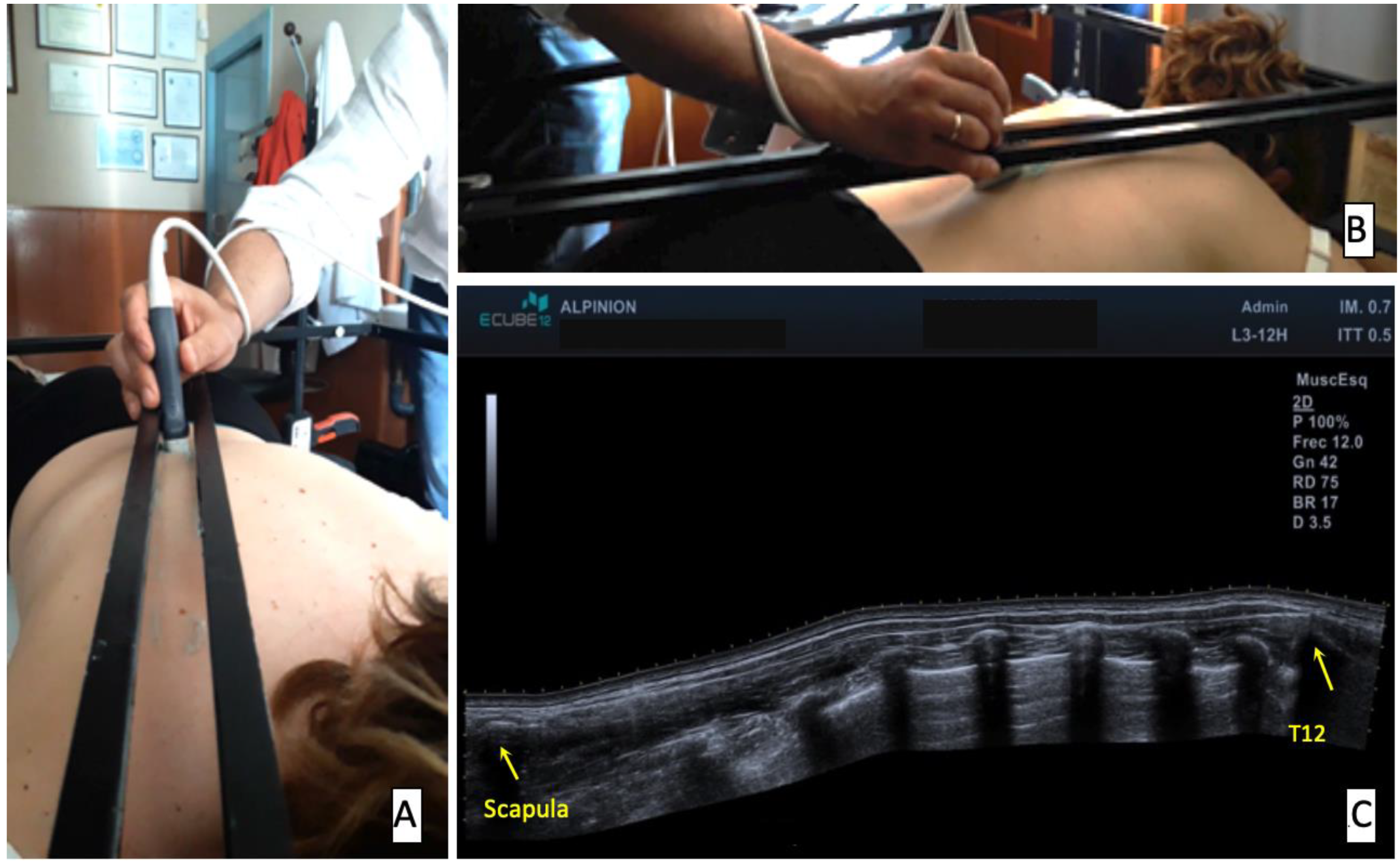Ijerph 17 07123 g001