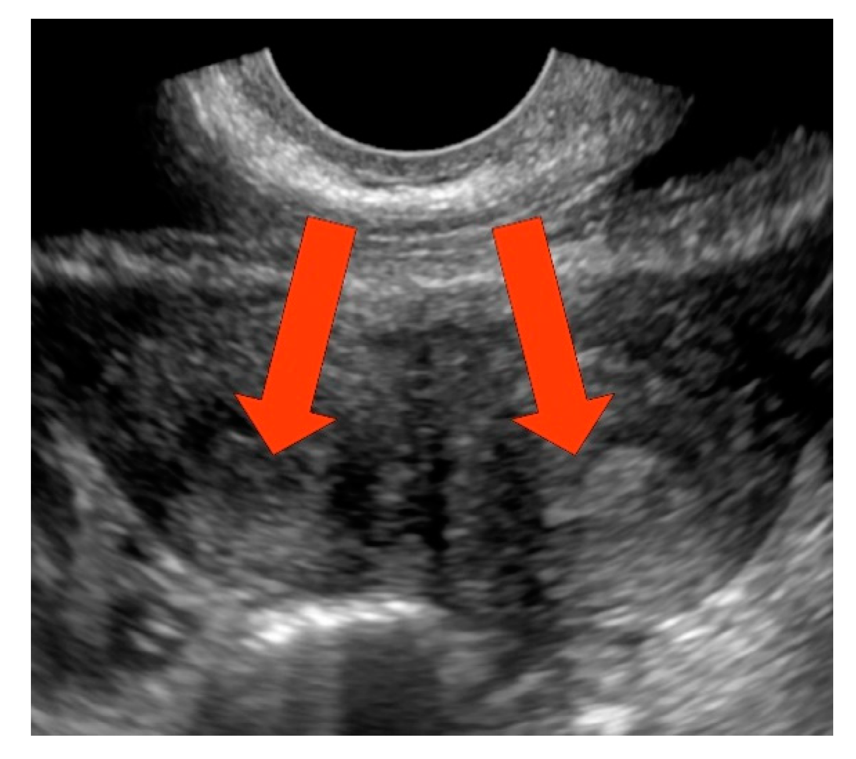 Ijerph 17 07173 g001