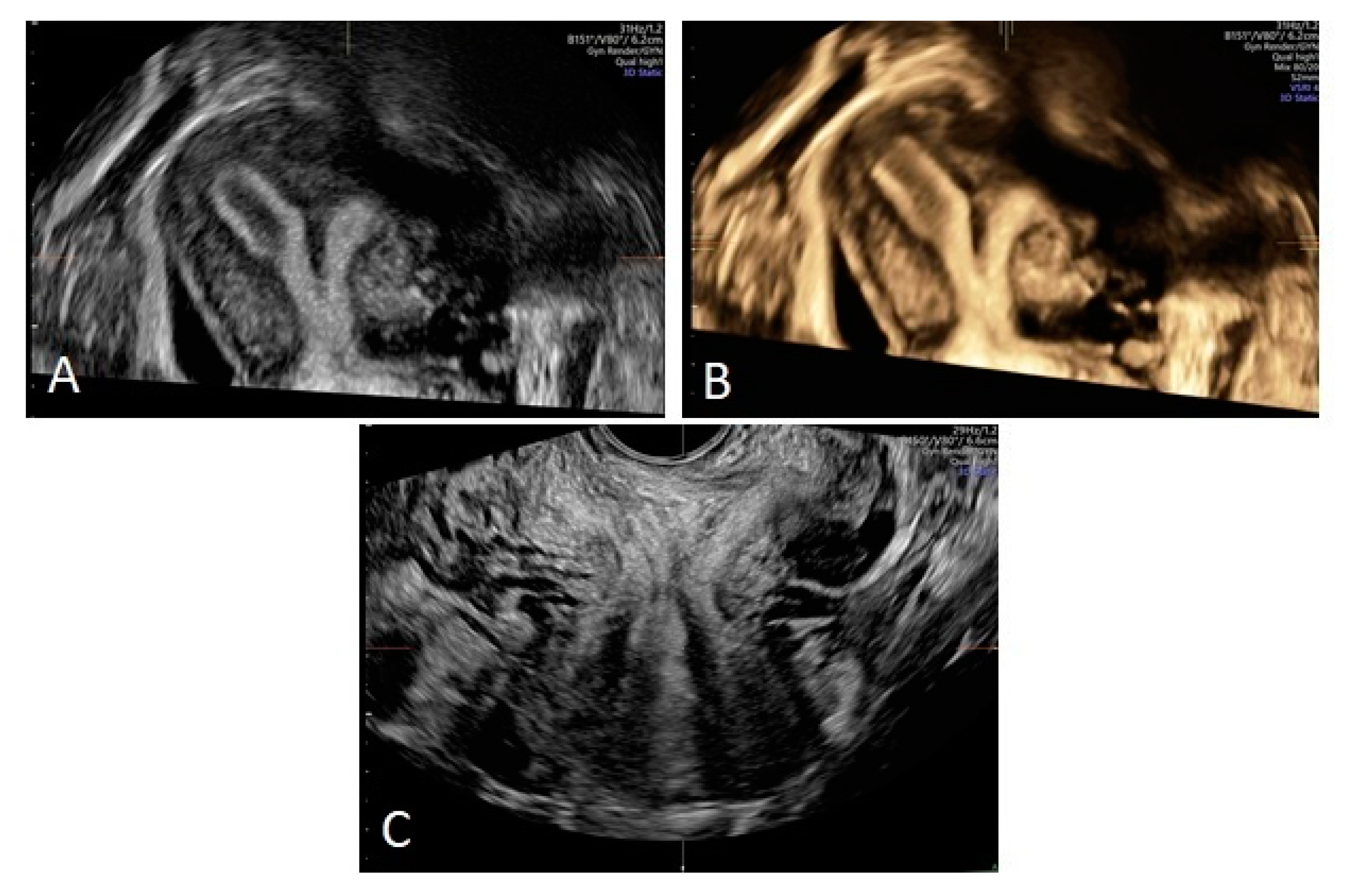 Ijerph 17 07173 g004