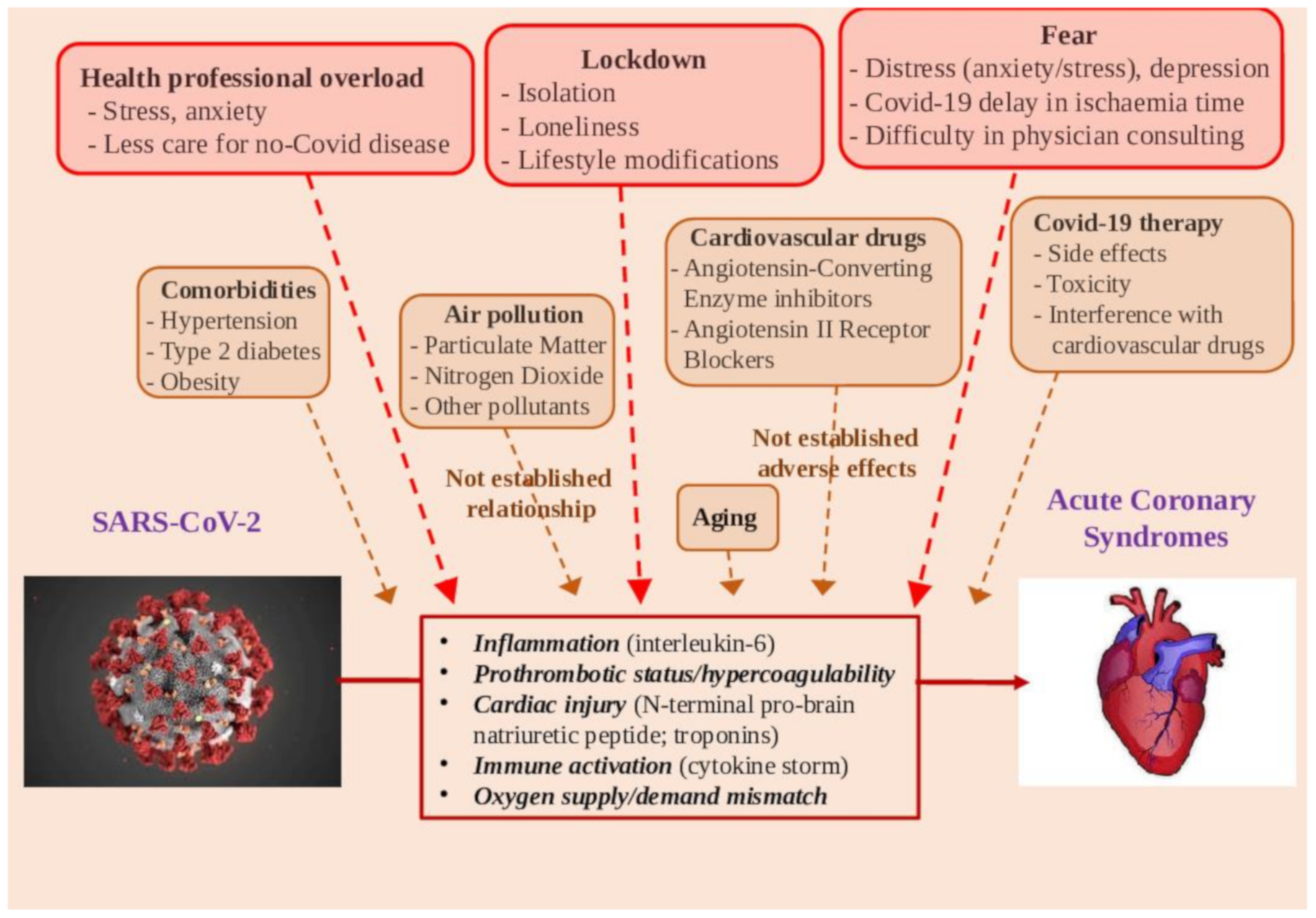 Ijerph 17 07371 g002