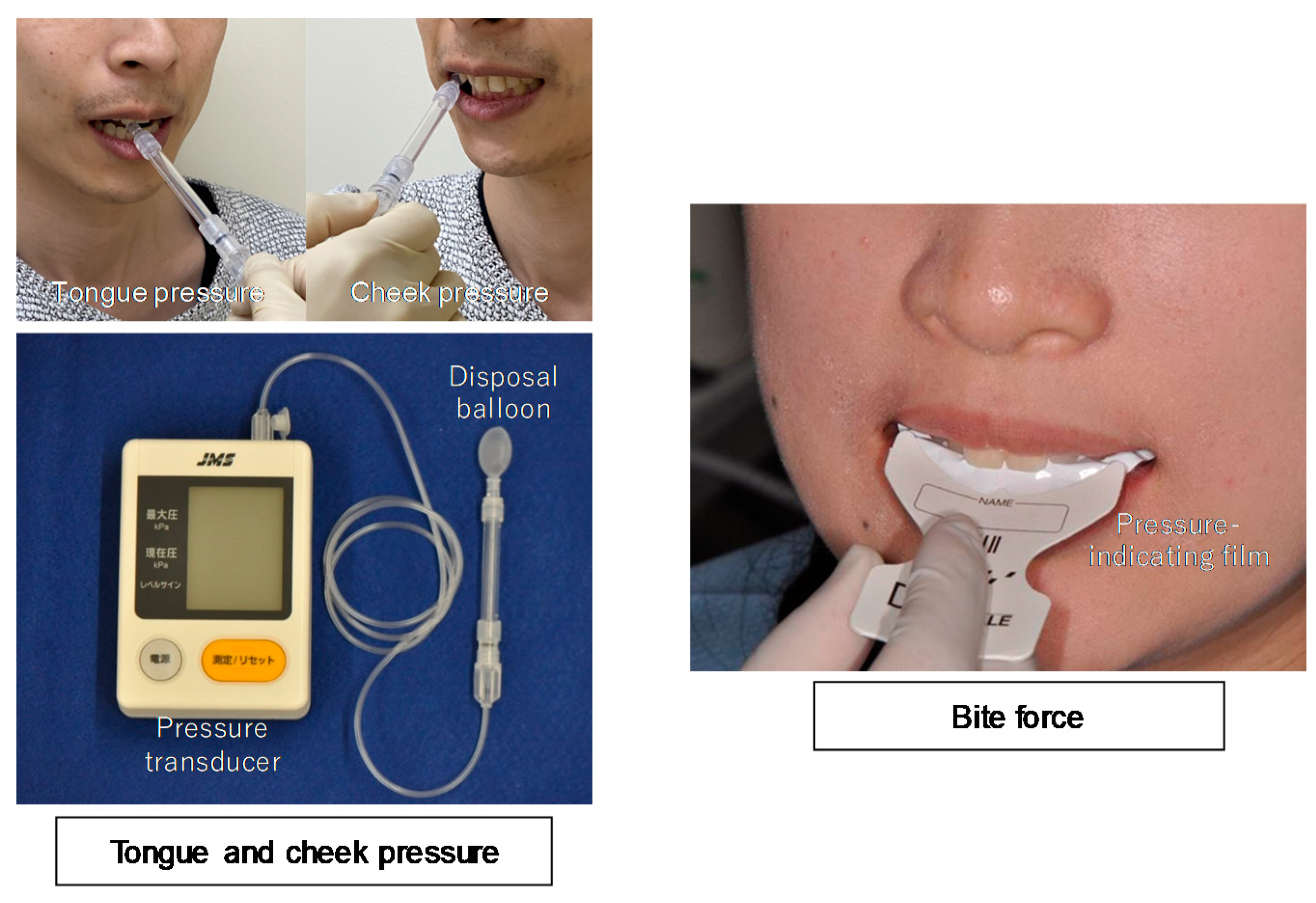 Ijerph 17 07373 g002