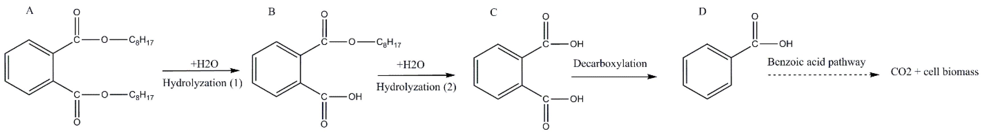 Ijerph 17 07501 g006