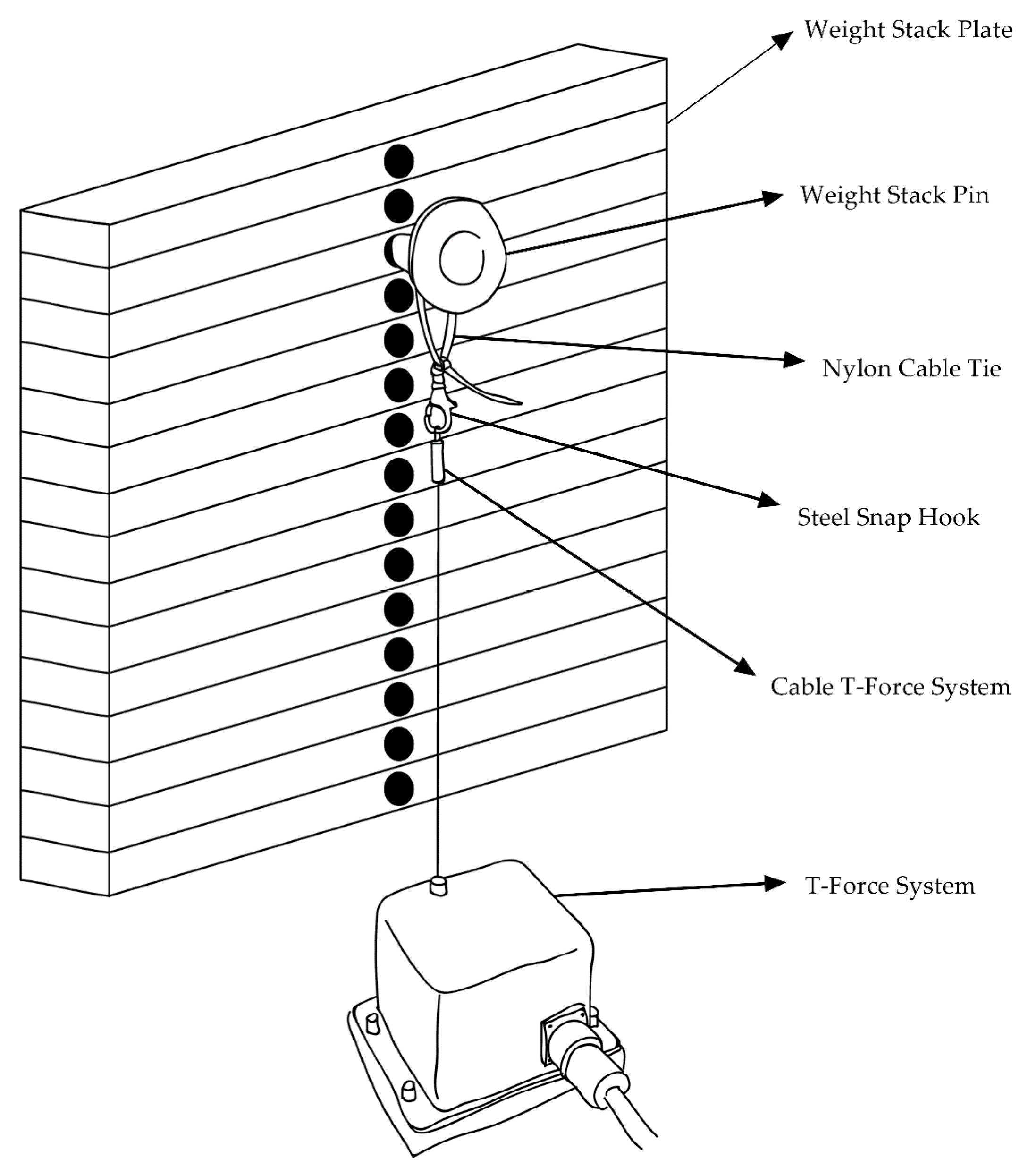 Ijerph 17 07557 g003