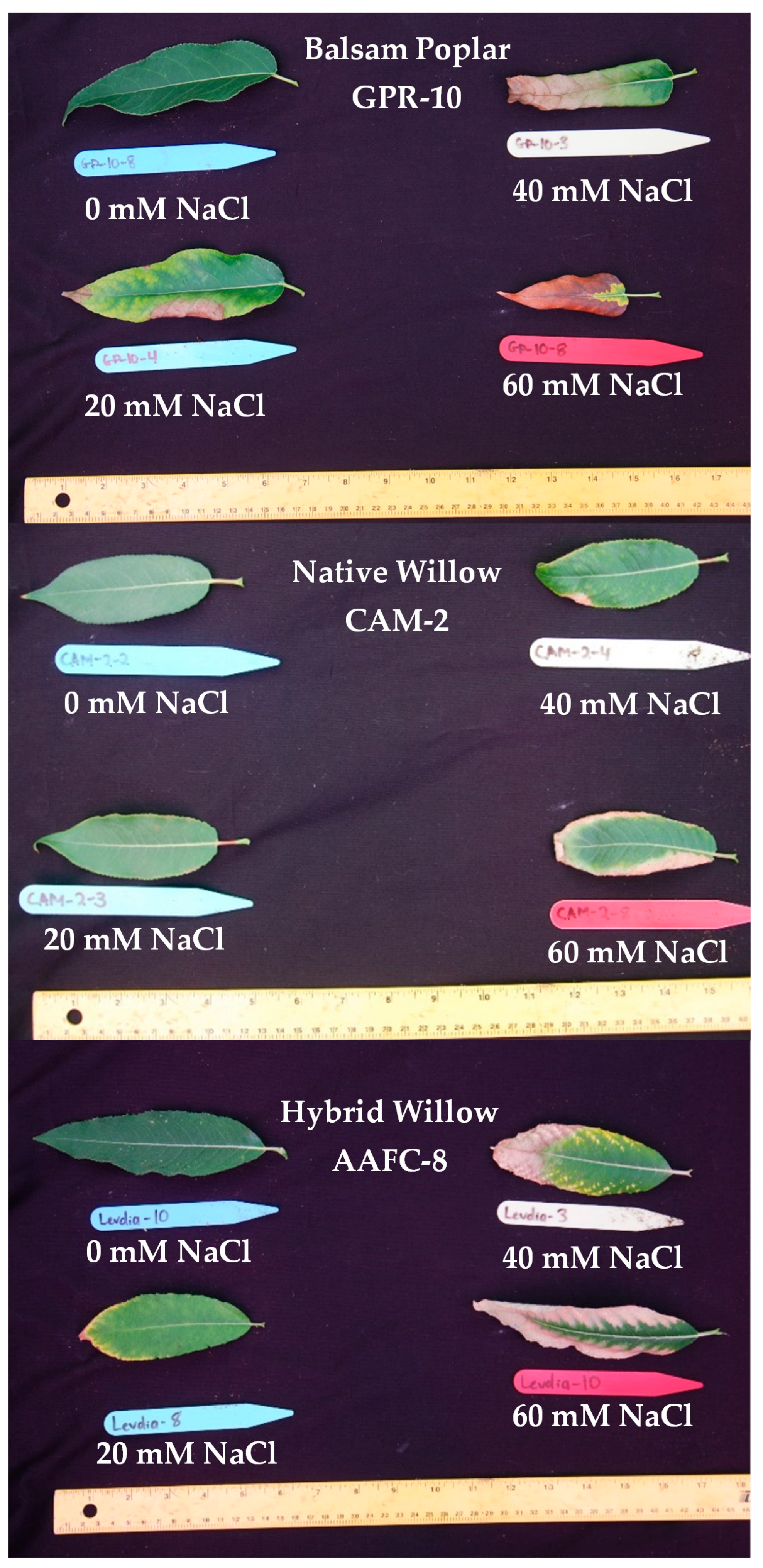 Ijerph 17 07641 g002 Ijerph 17 07641 g002