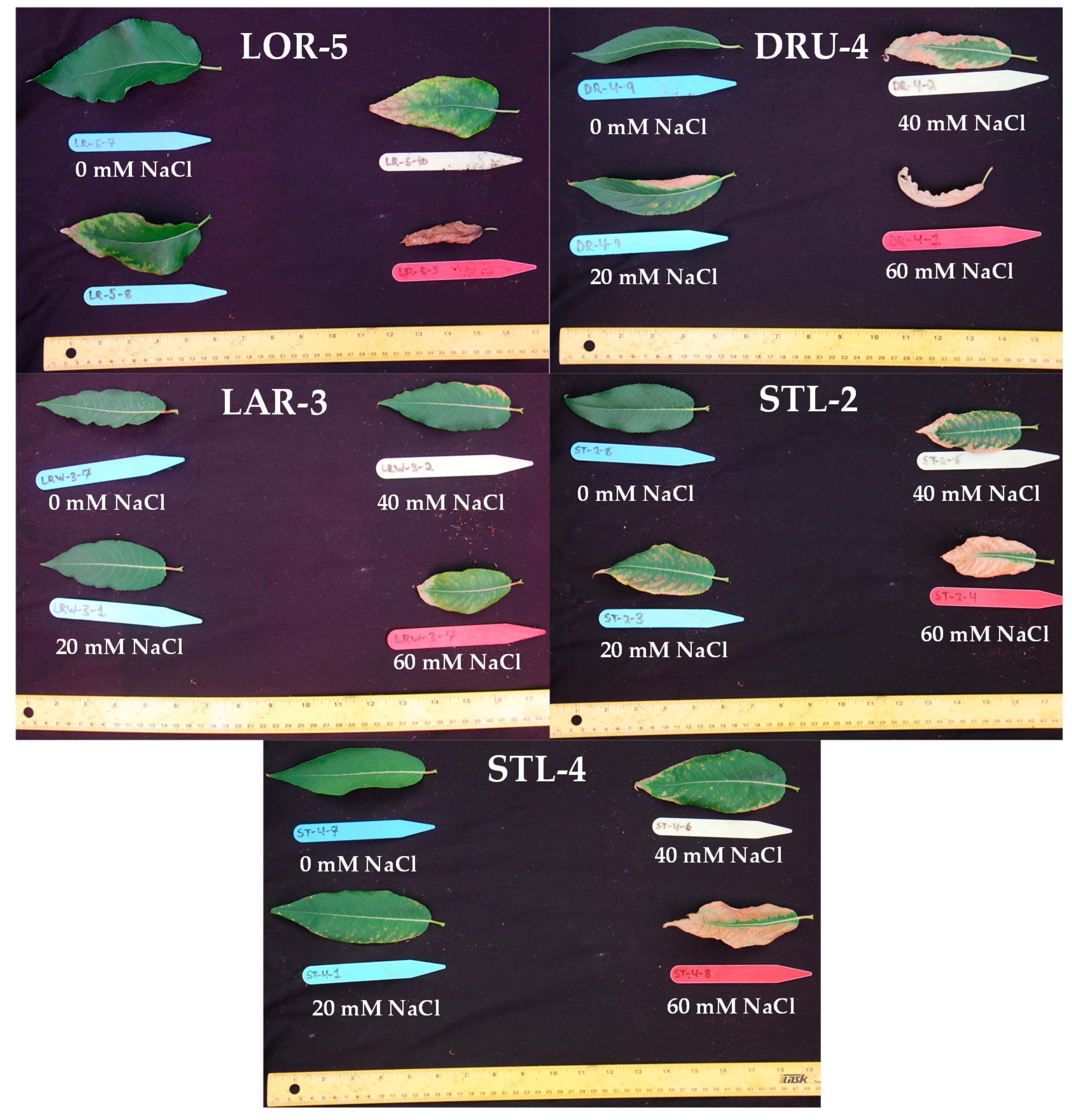 Ijerph 17 07641 g0a1 Ijerph 17 07641 g0a1