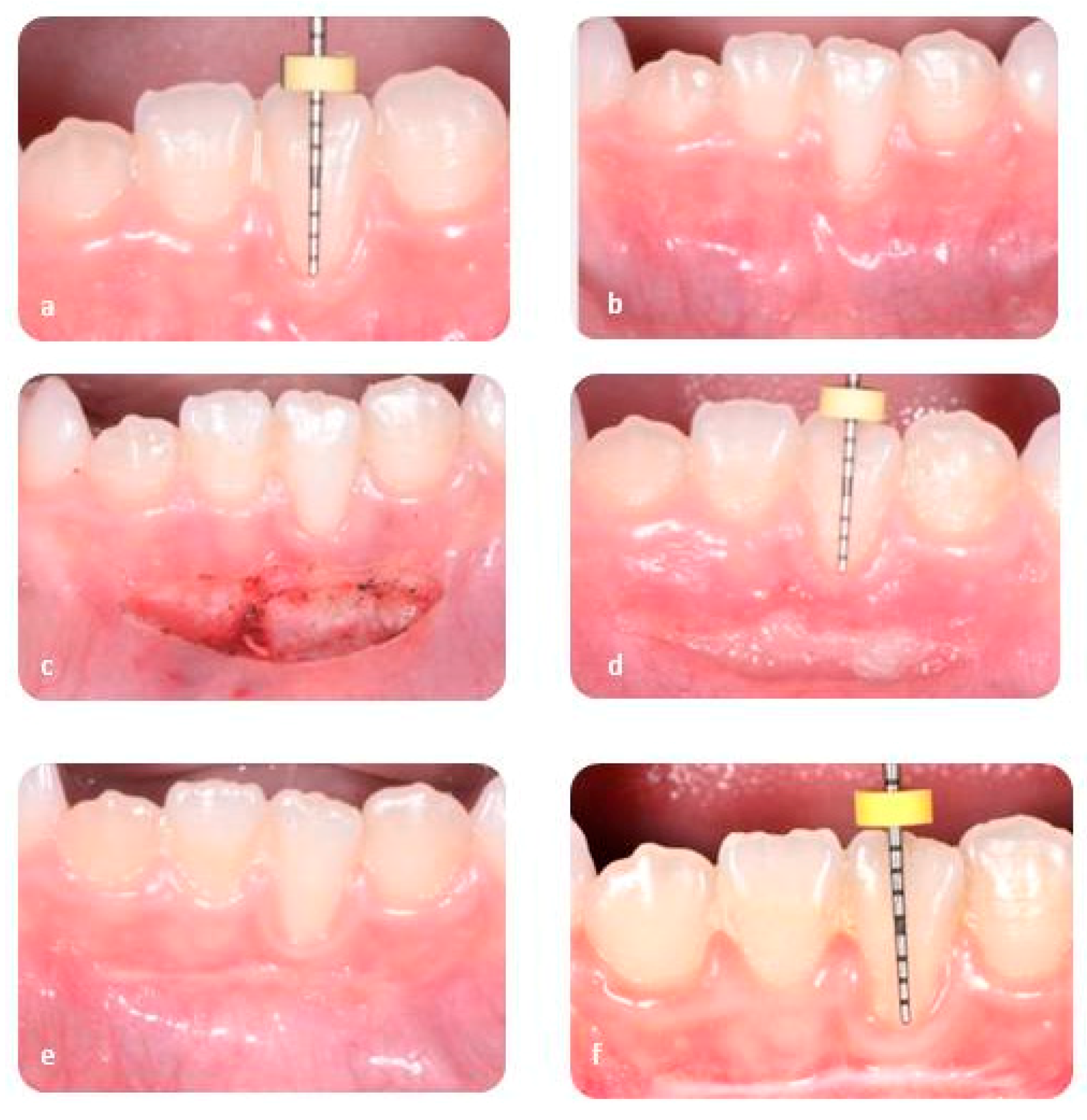 Ijerph 17 07708 g001