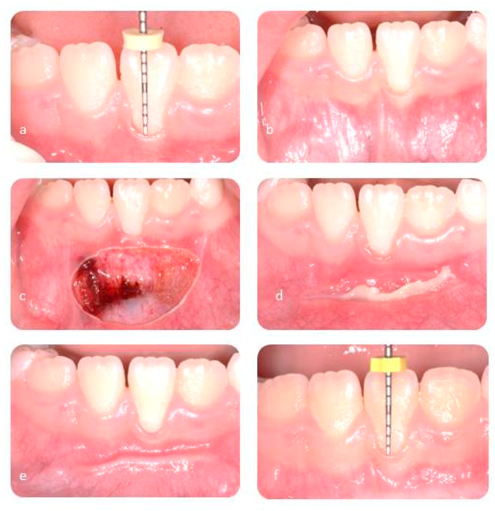 Ijerph 17 07708 g002