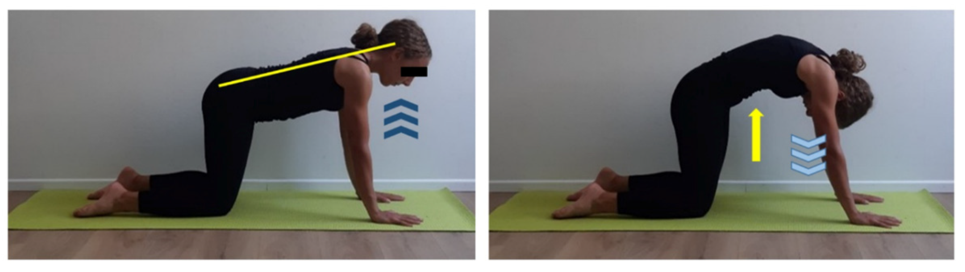 Ijerph 17 07727 g004 Ijerph 17 07727 g004