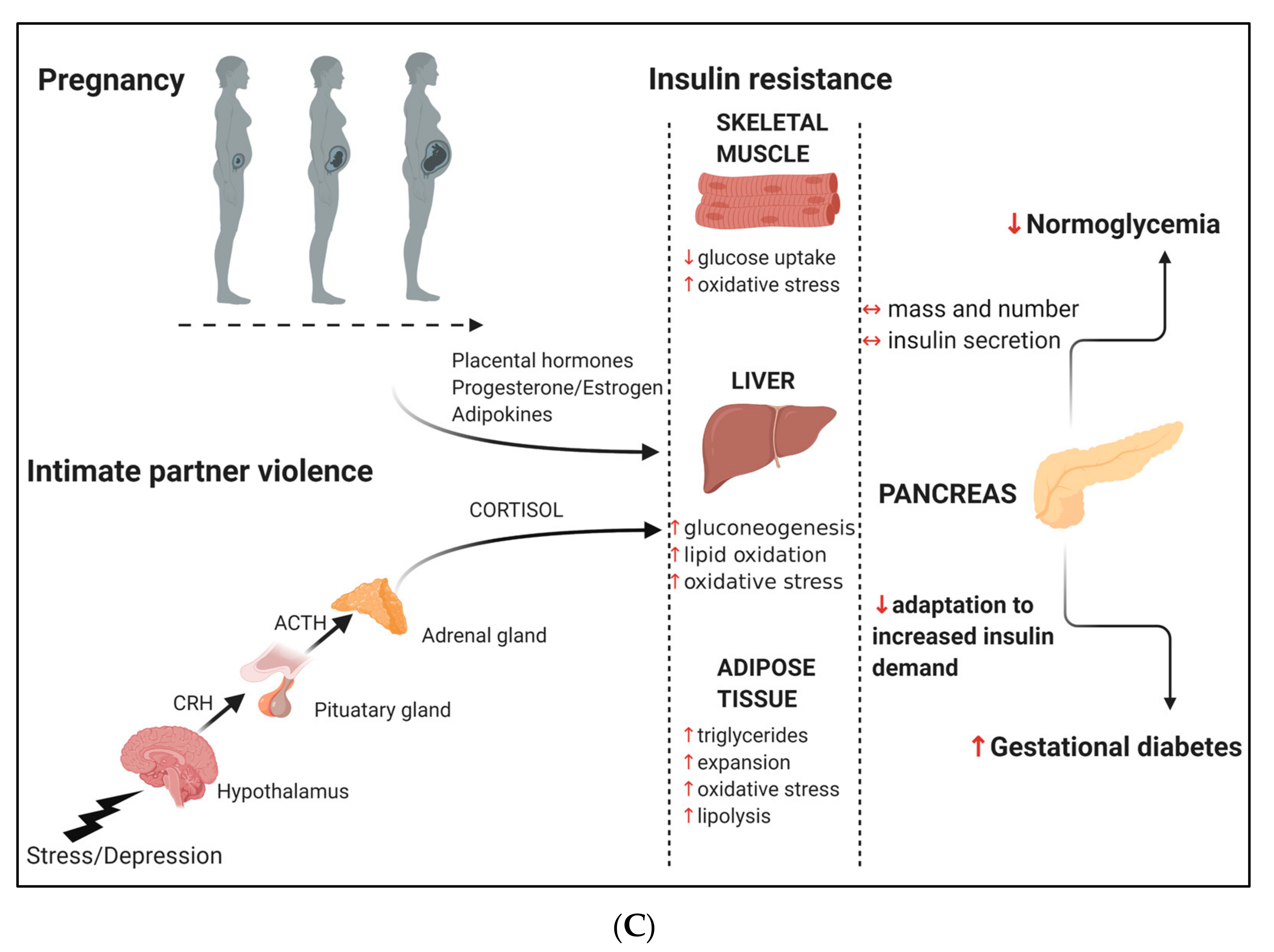 Ijerph 17 07843 g001b Ijerph 17 07843 g001b