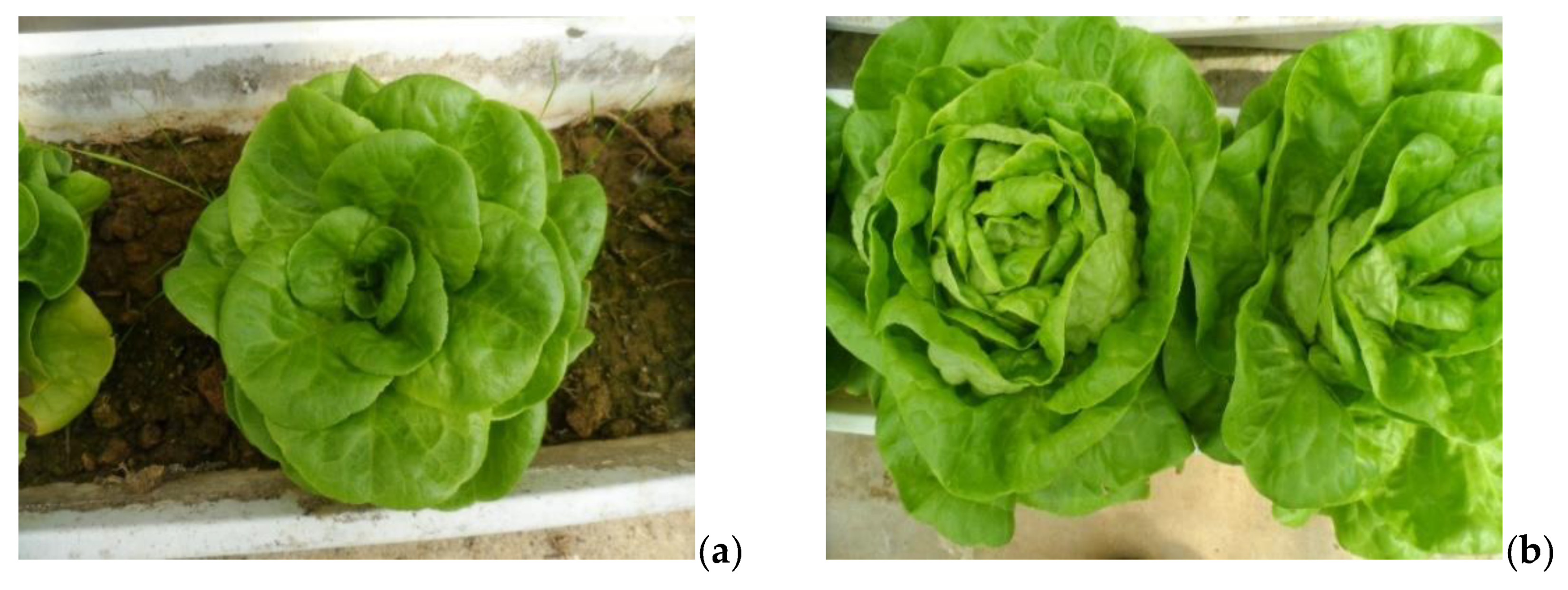 Ijerph 17 07861 g001