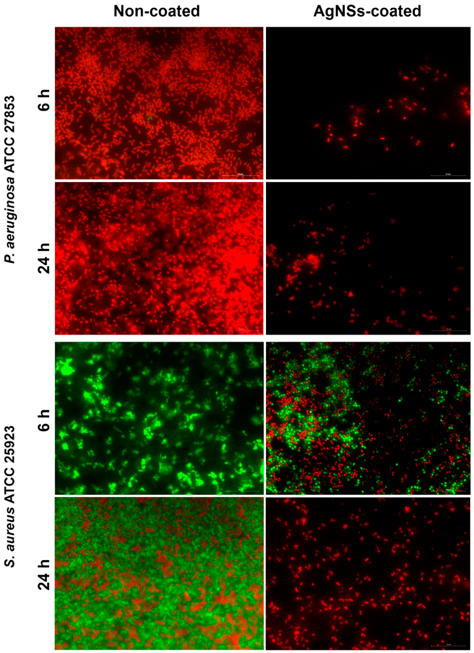 Ijerph 17 07891 g003