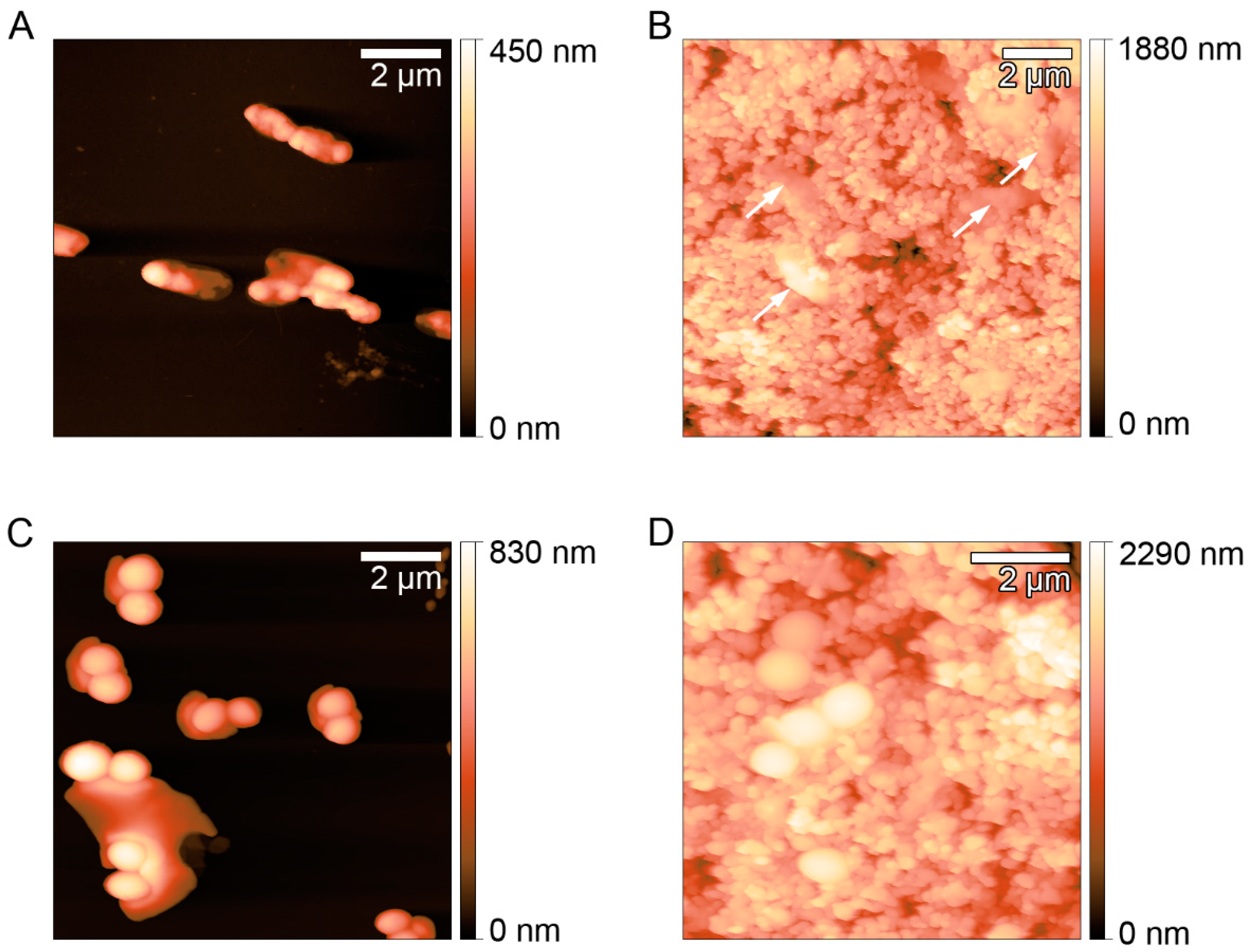 Ijerph 17 07891 g004