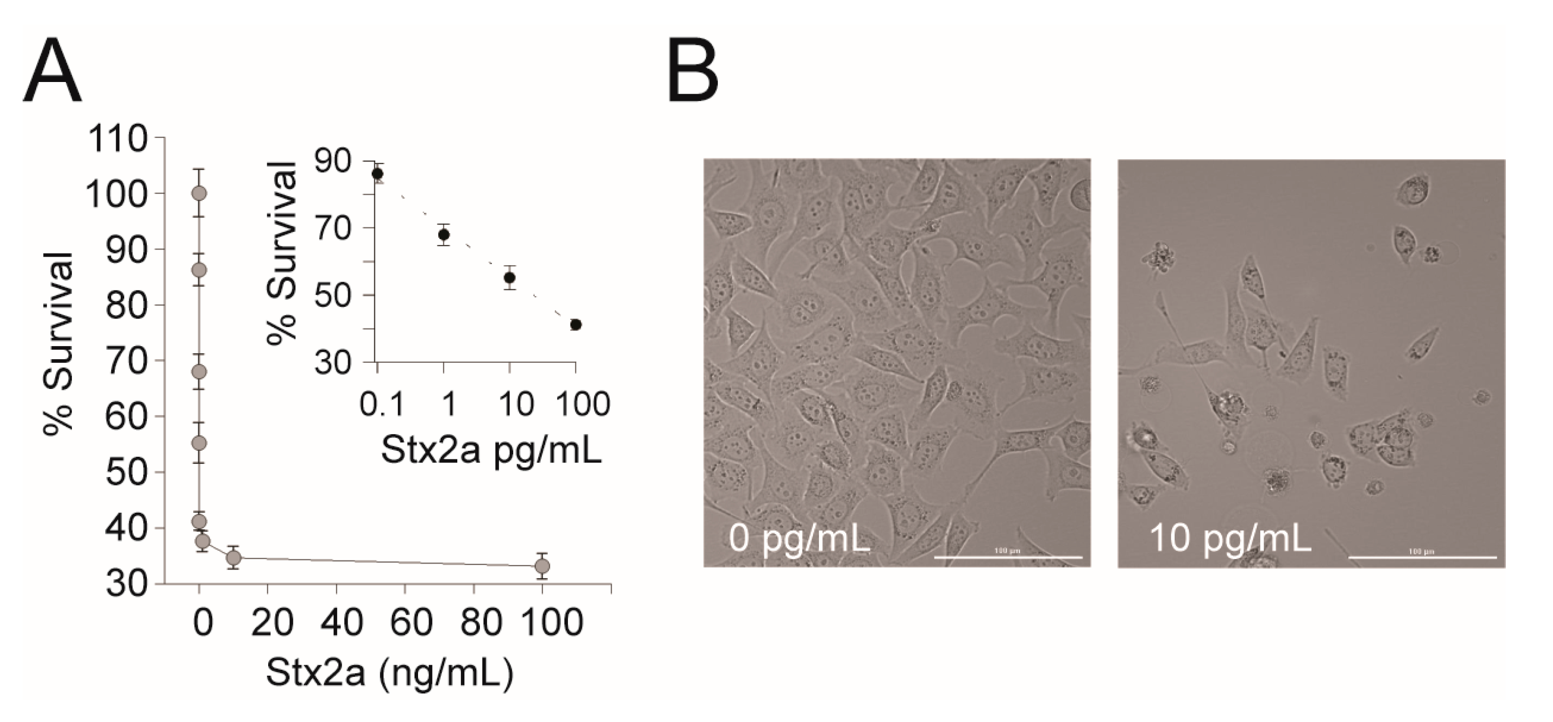 Ijerph 17 07901 g002