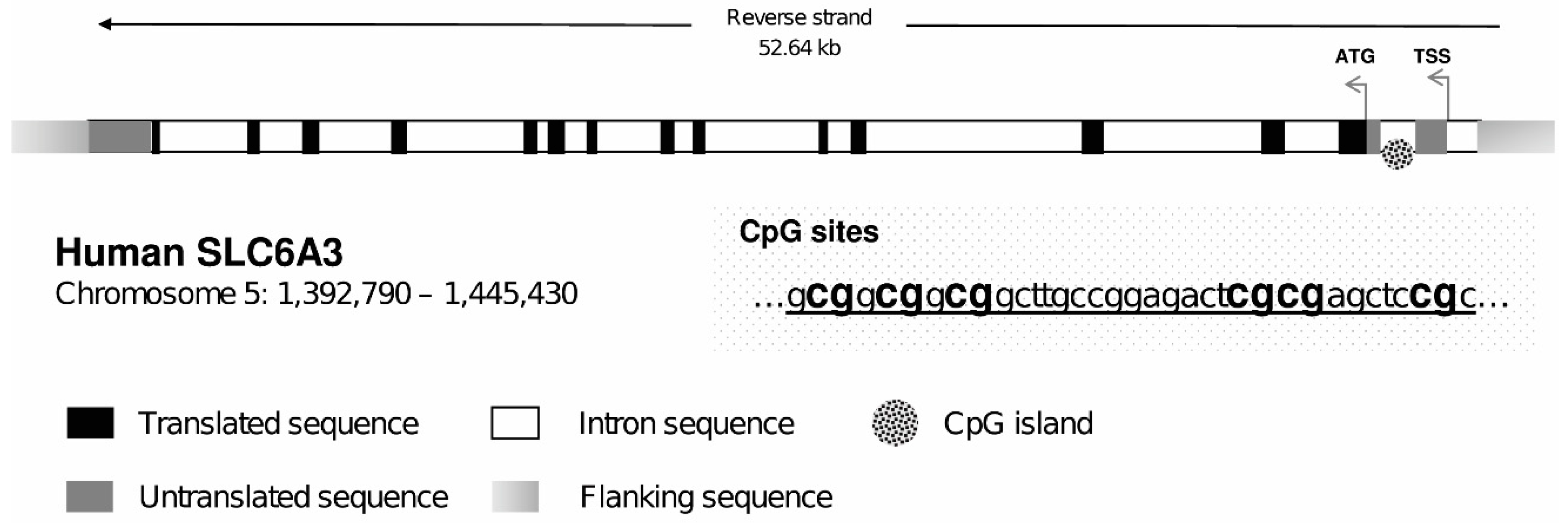 Ijerph 17 07956 g001