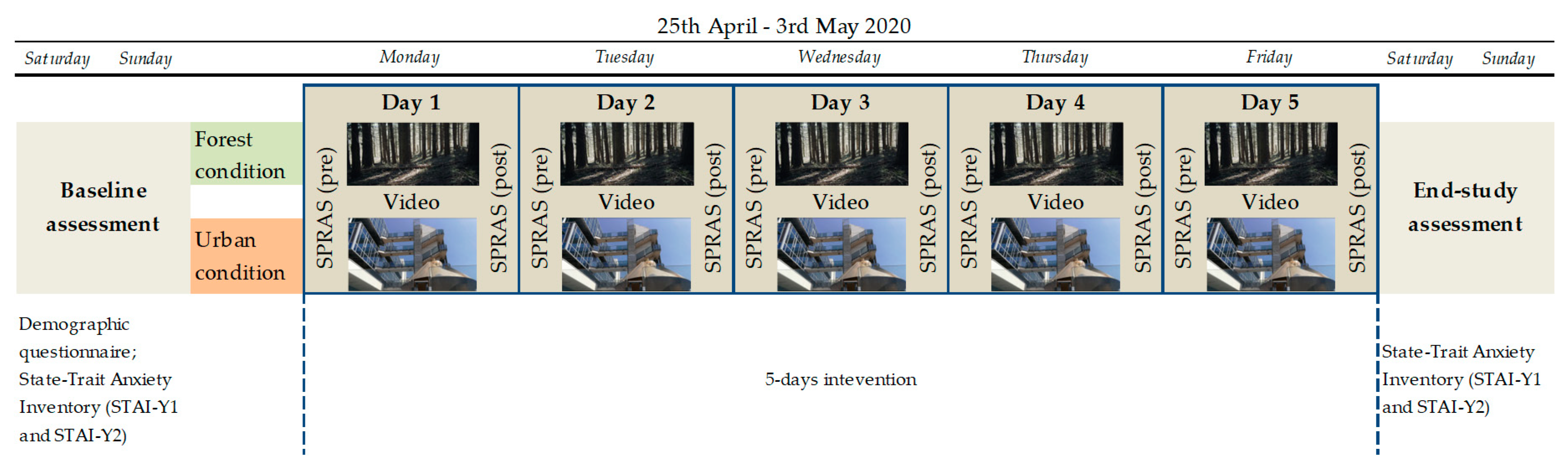 Ijerph 17 08011 g001