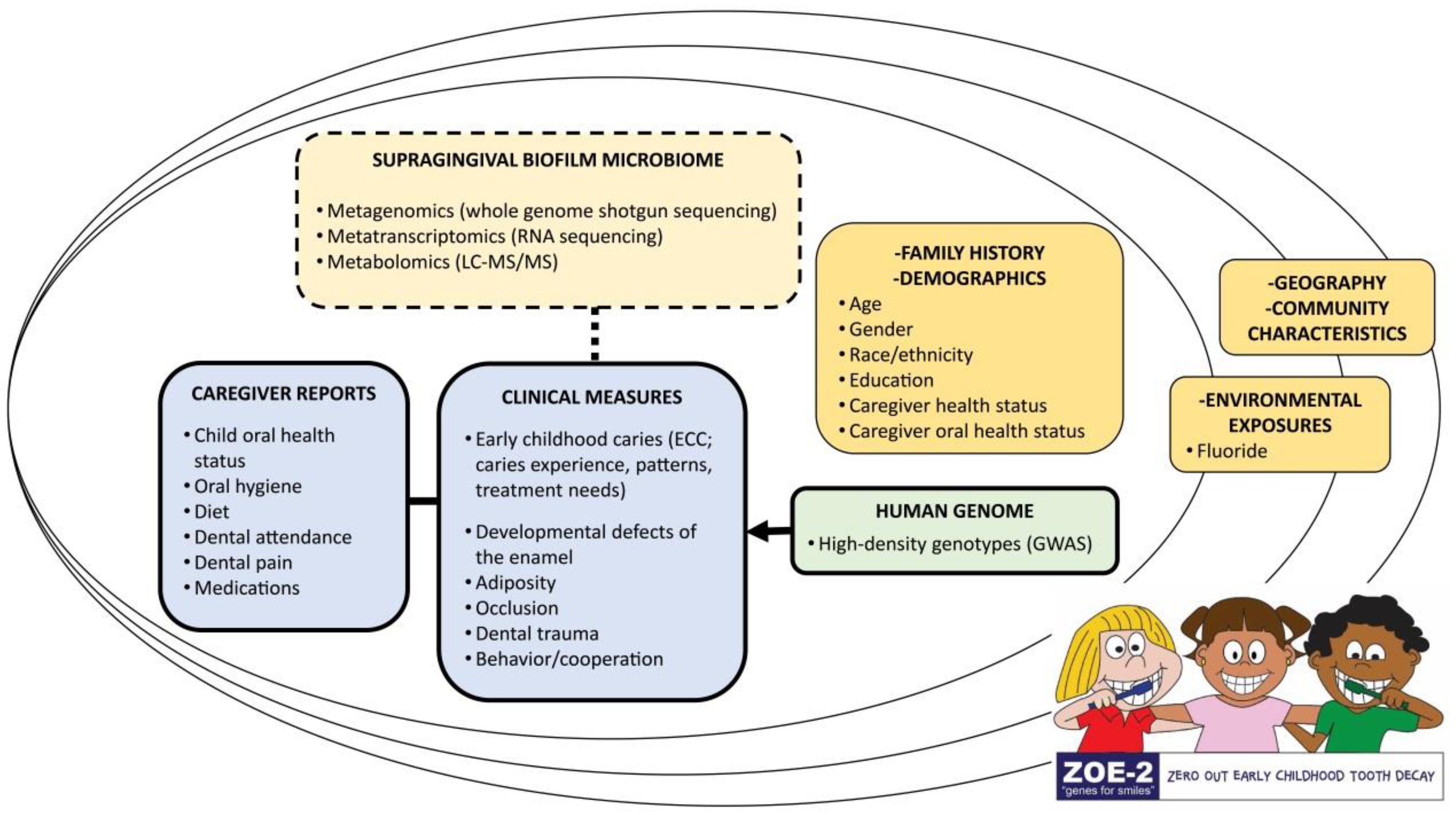 Ijerph 17 08056 g001