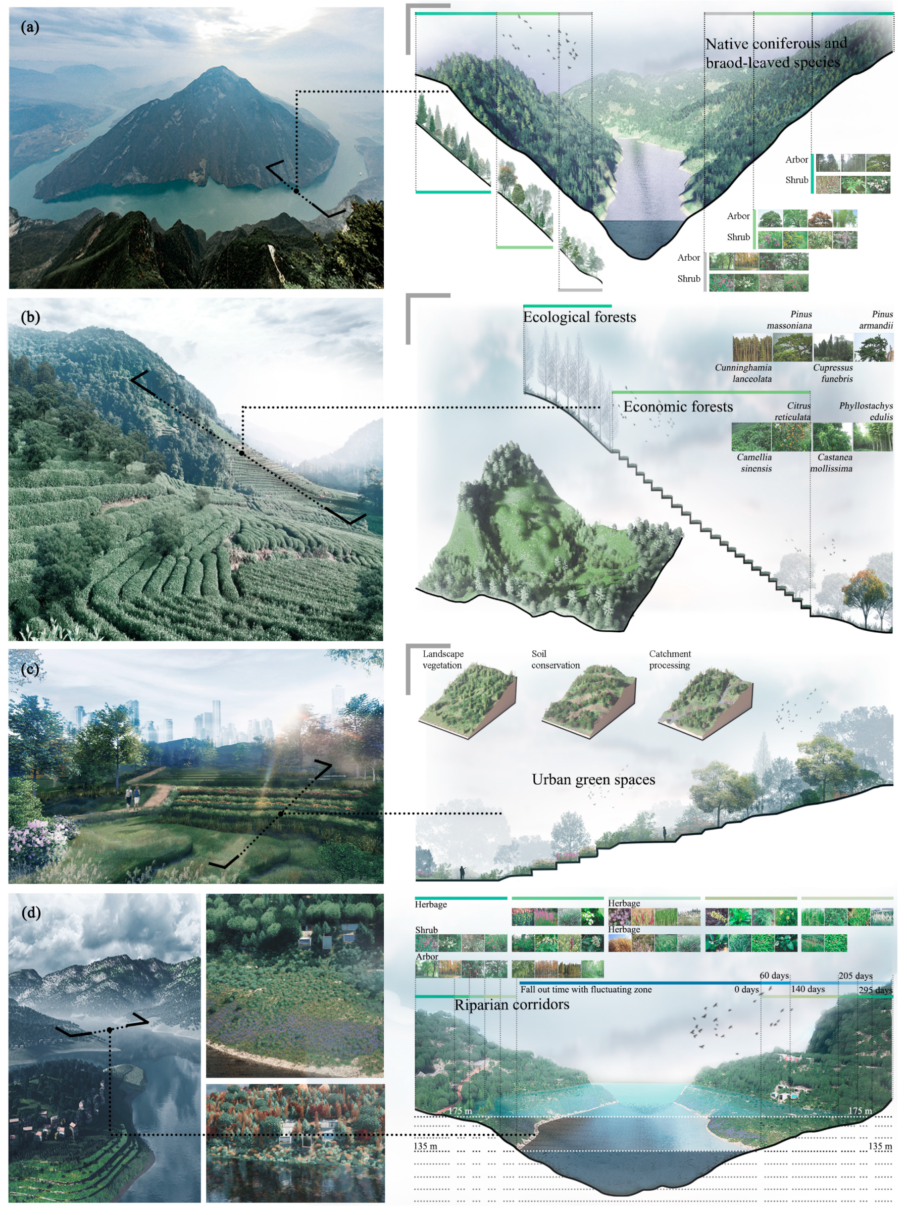 Ijerph 17 08077 g008