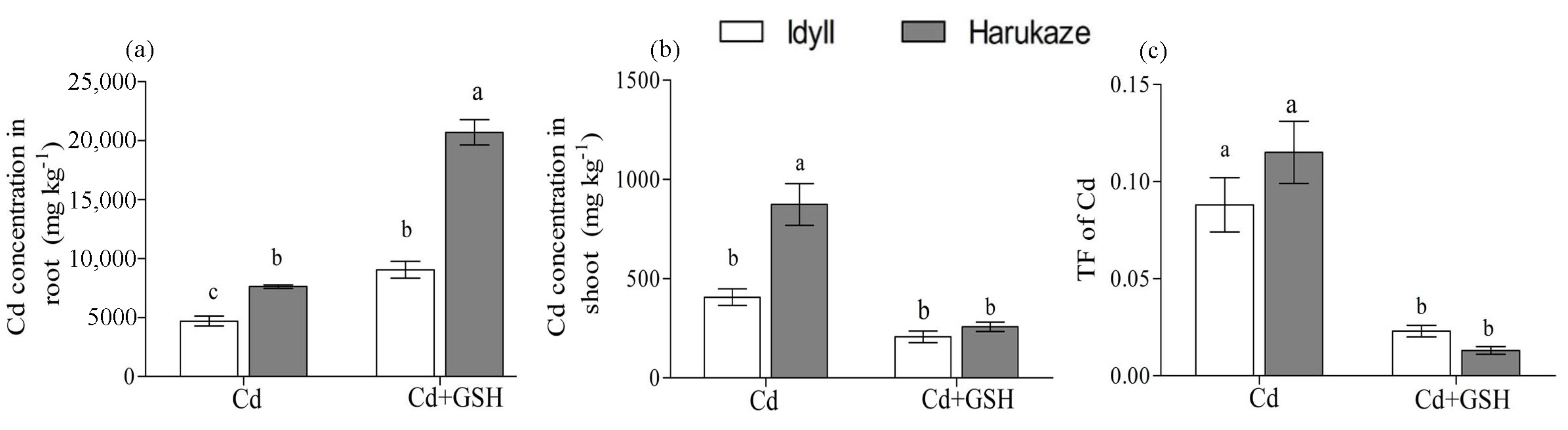 Ijerph 17 08143 g001