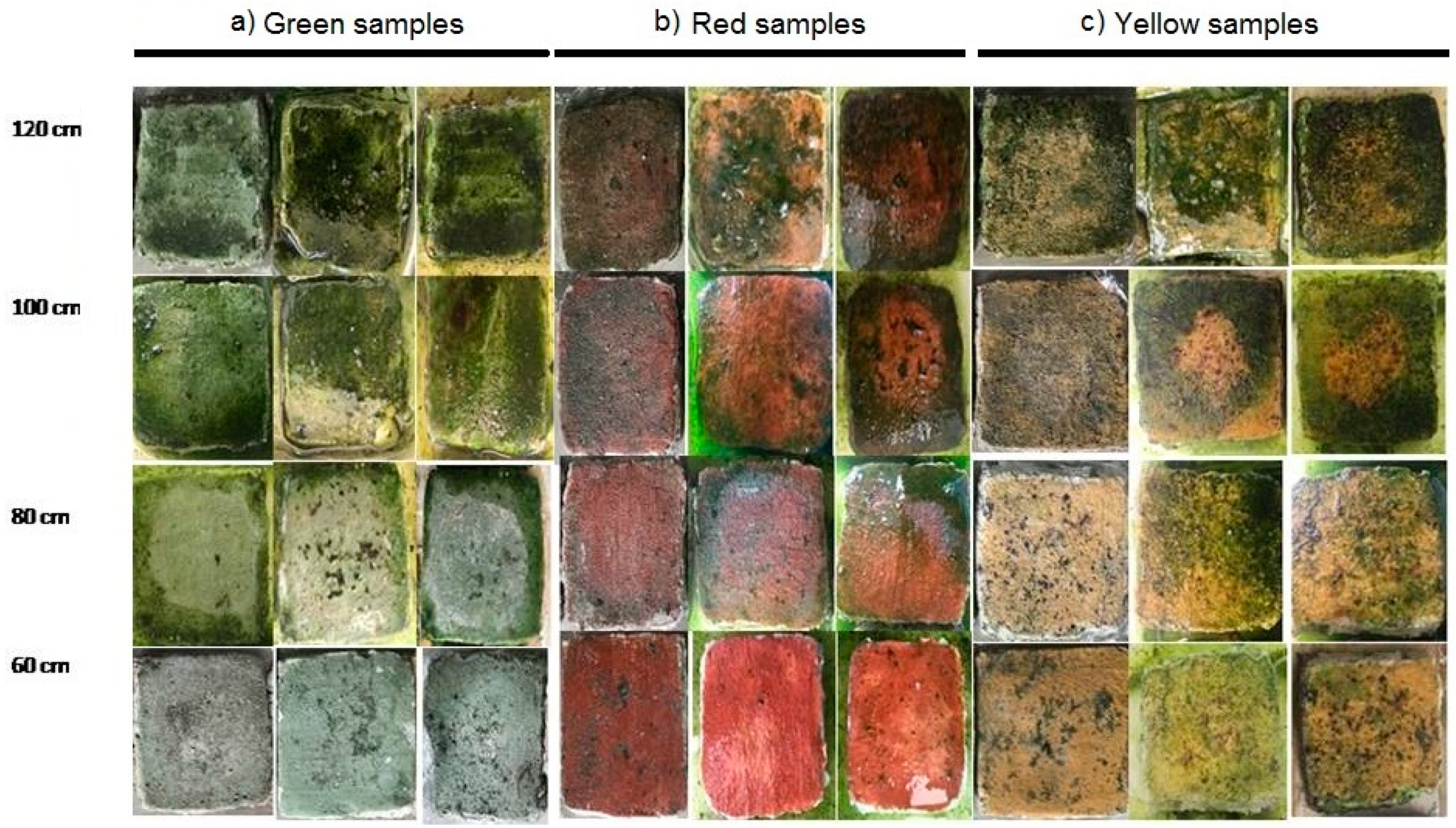 Ijerph 17 08392 g001