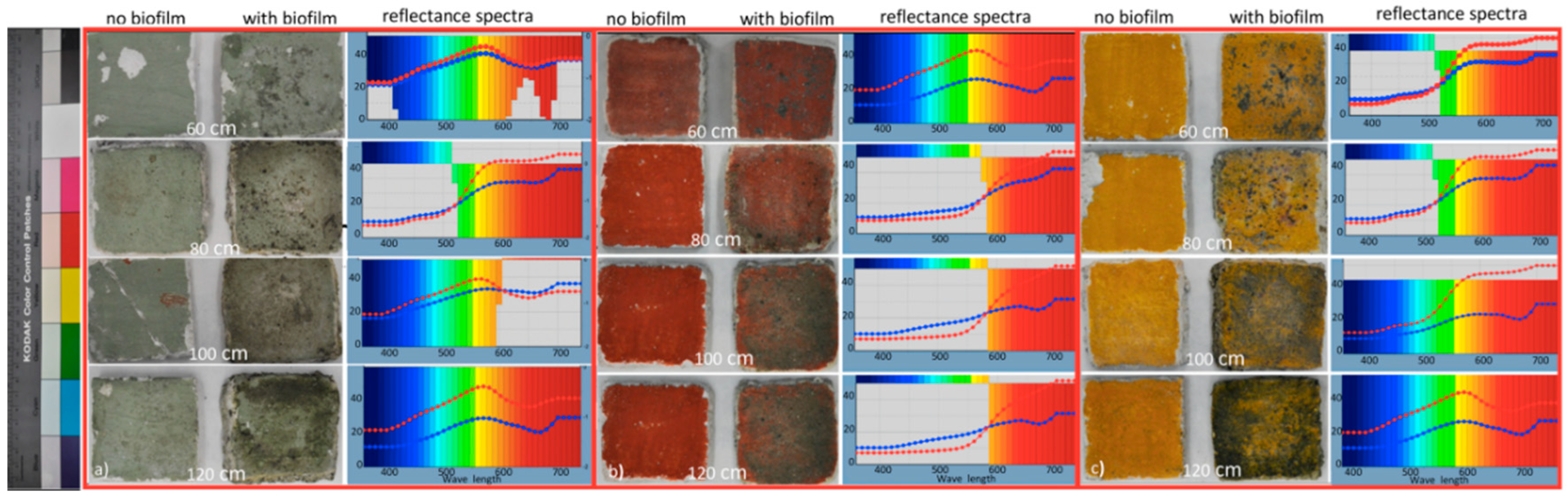 Ijerph 17 08392 g003