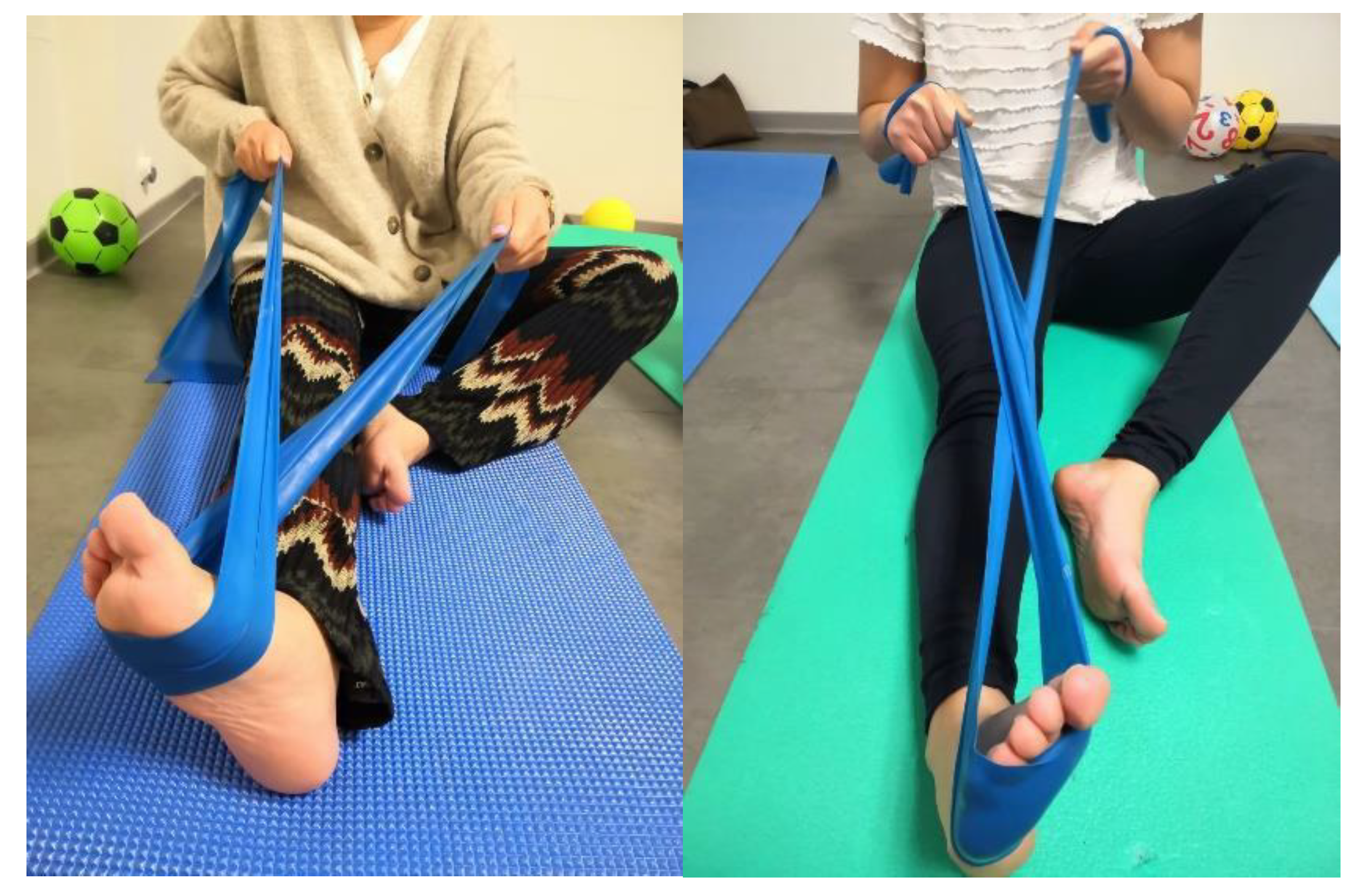 Ijerph 17 08406 g002