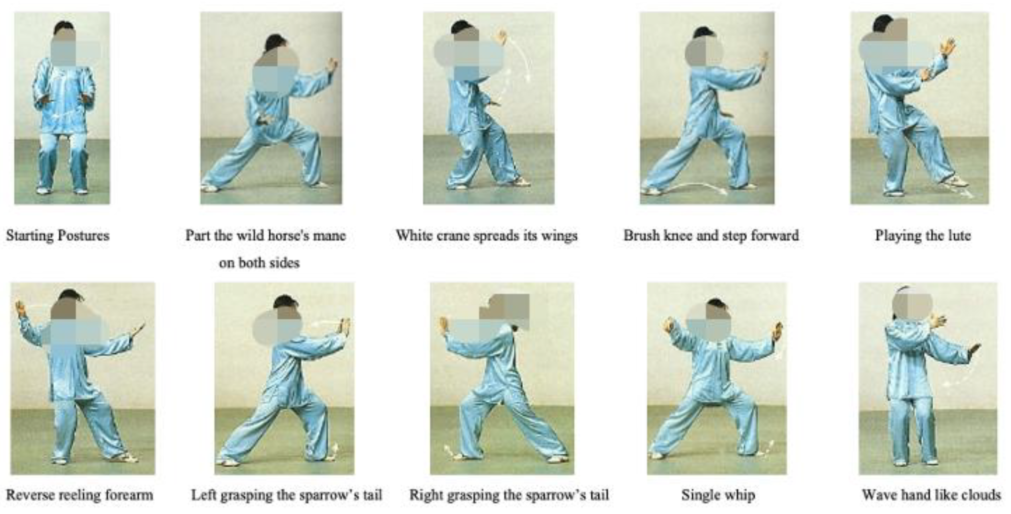 Ijerph 17 08462 g001 Ijerph 17 08462 g001