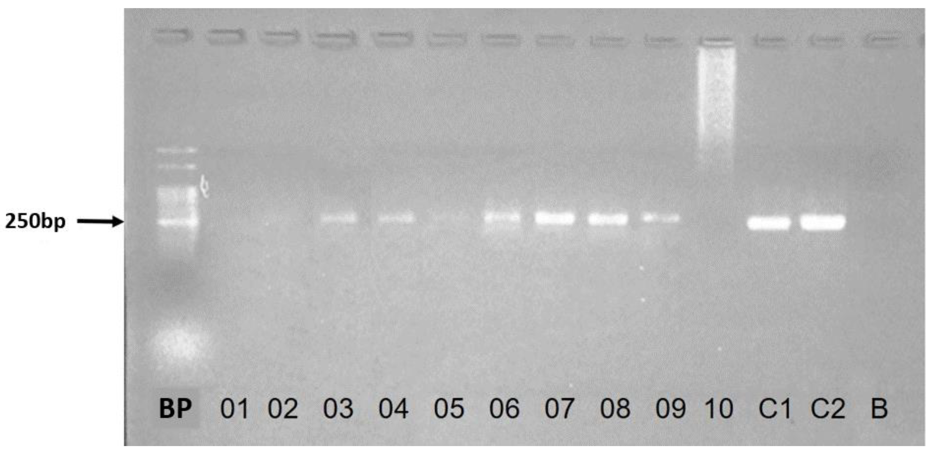 Ijerph 17 08488 g003