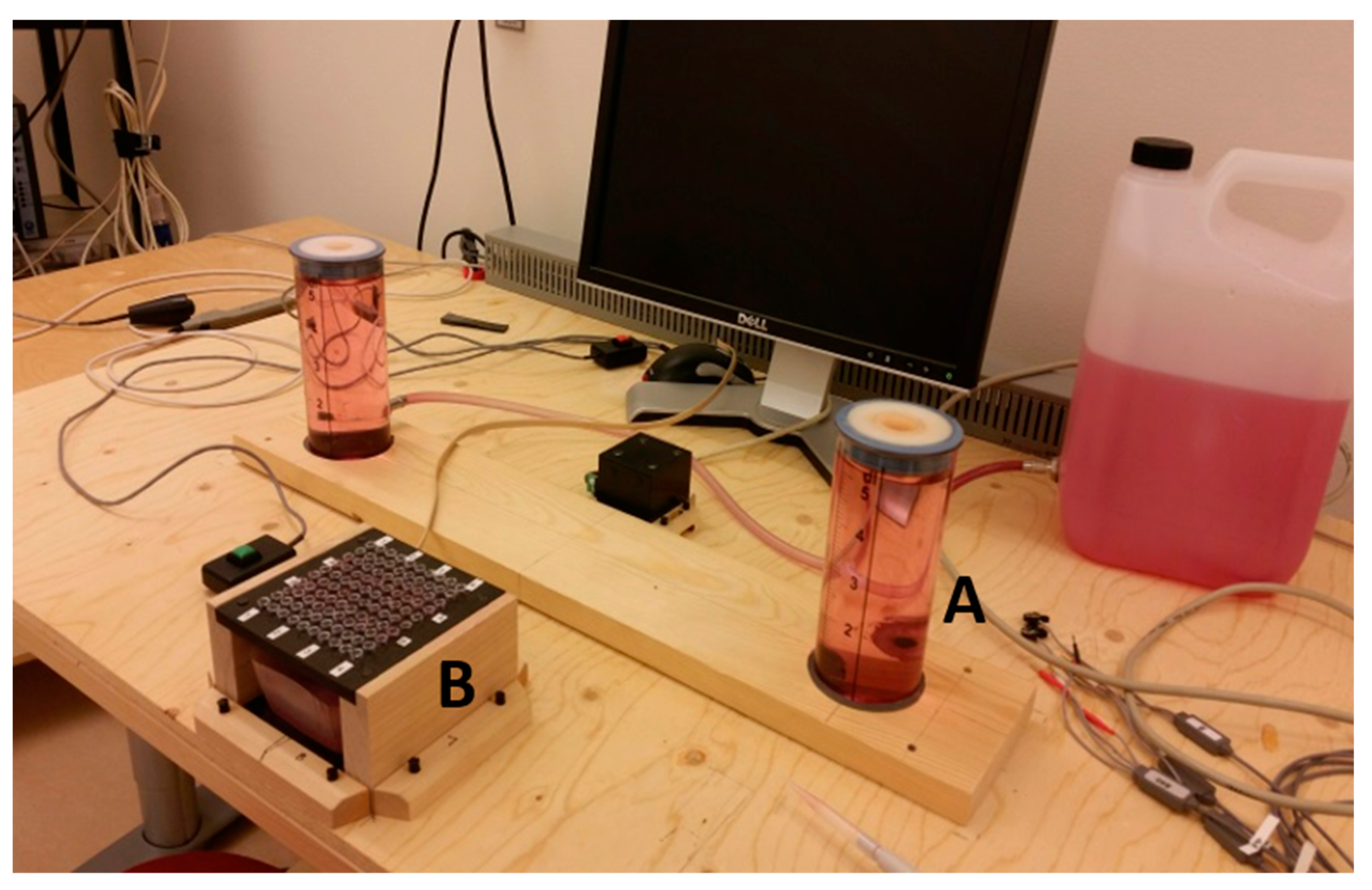 Ijerph 17 08509 g002 Ijerph 17 08509 g002