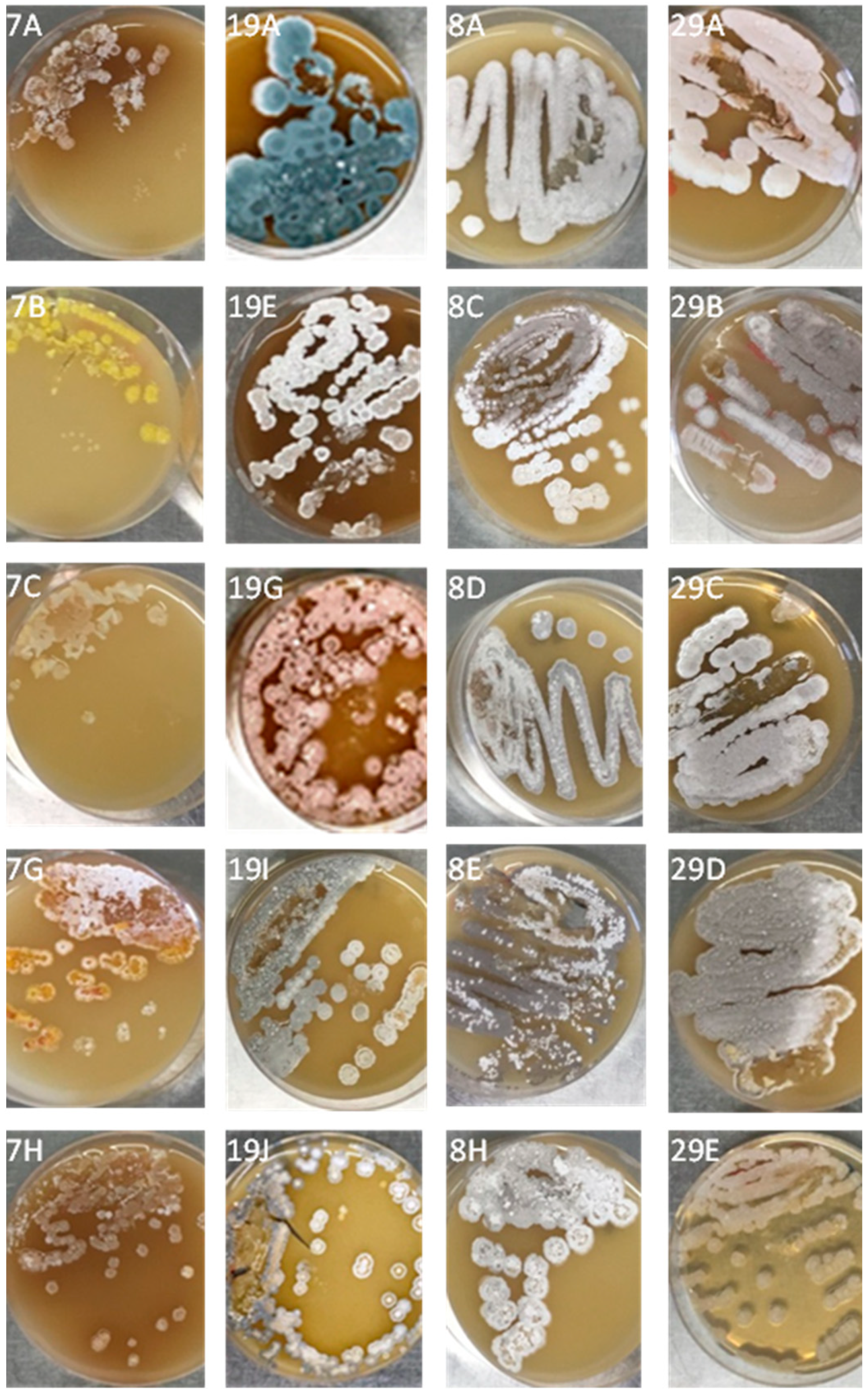 Ijerph 17 08749 g002