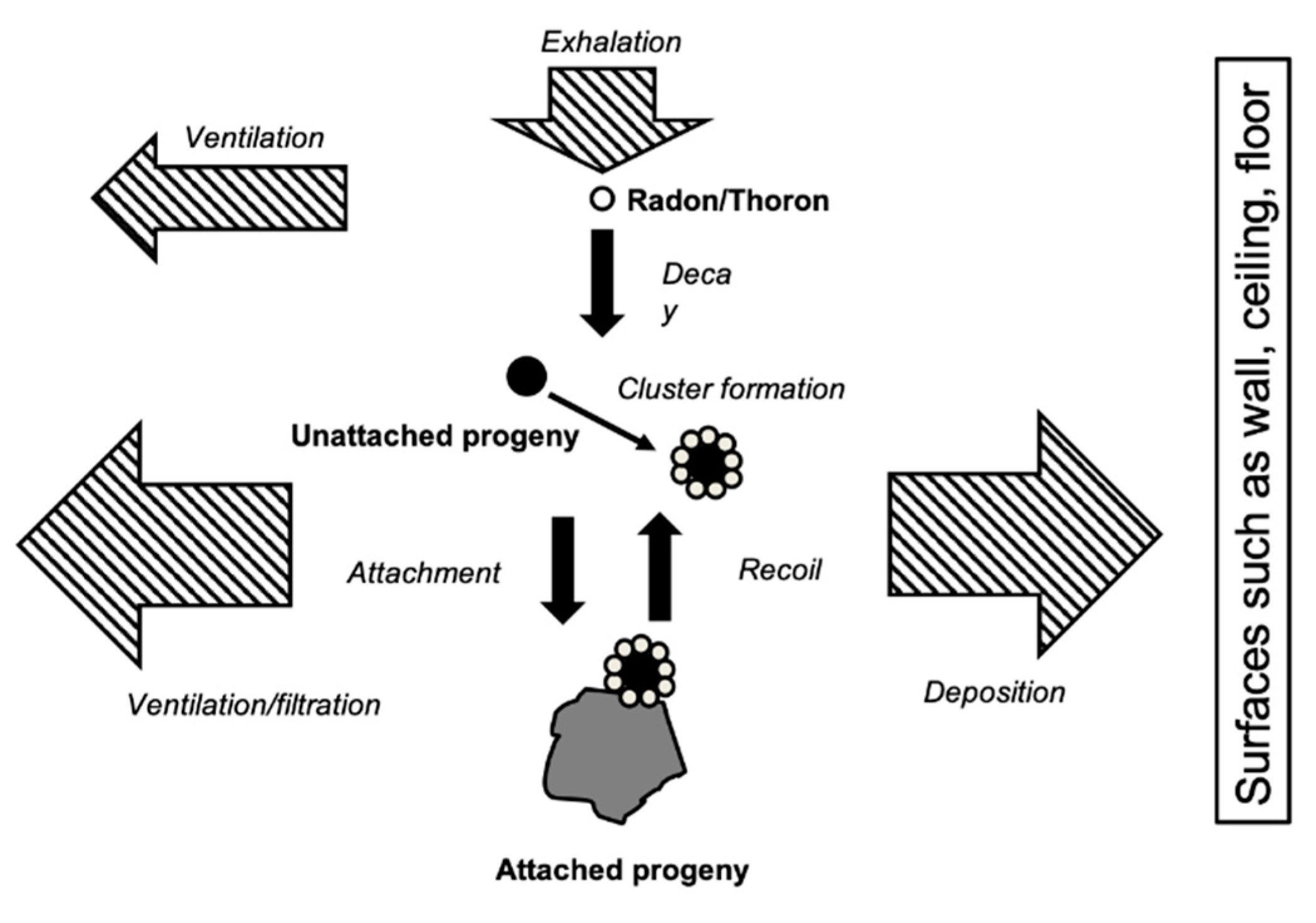 Ijerph 17 08769 g003