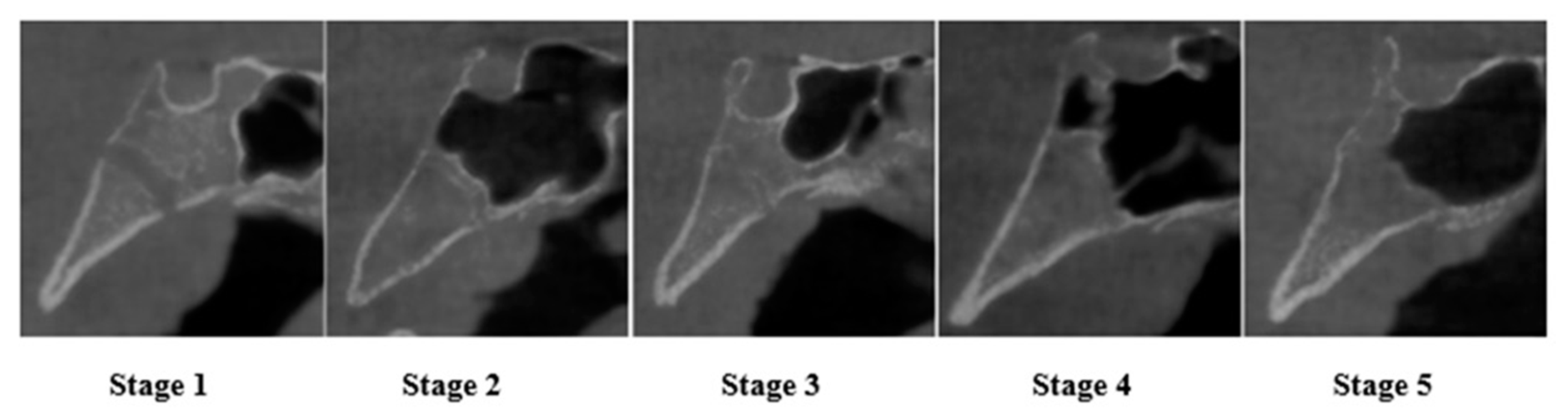 Ijerph 17 08889 i001 Ijerph 17 08889 i001