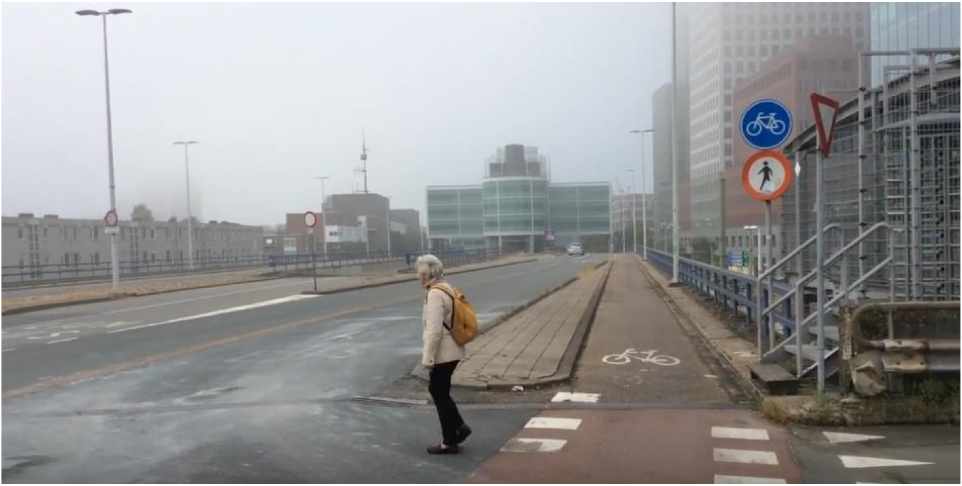 Ijerph 17 08977 g001