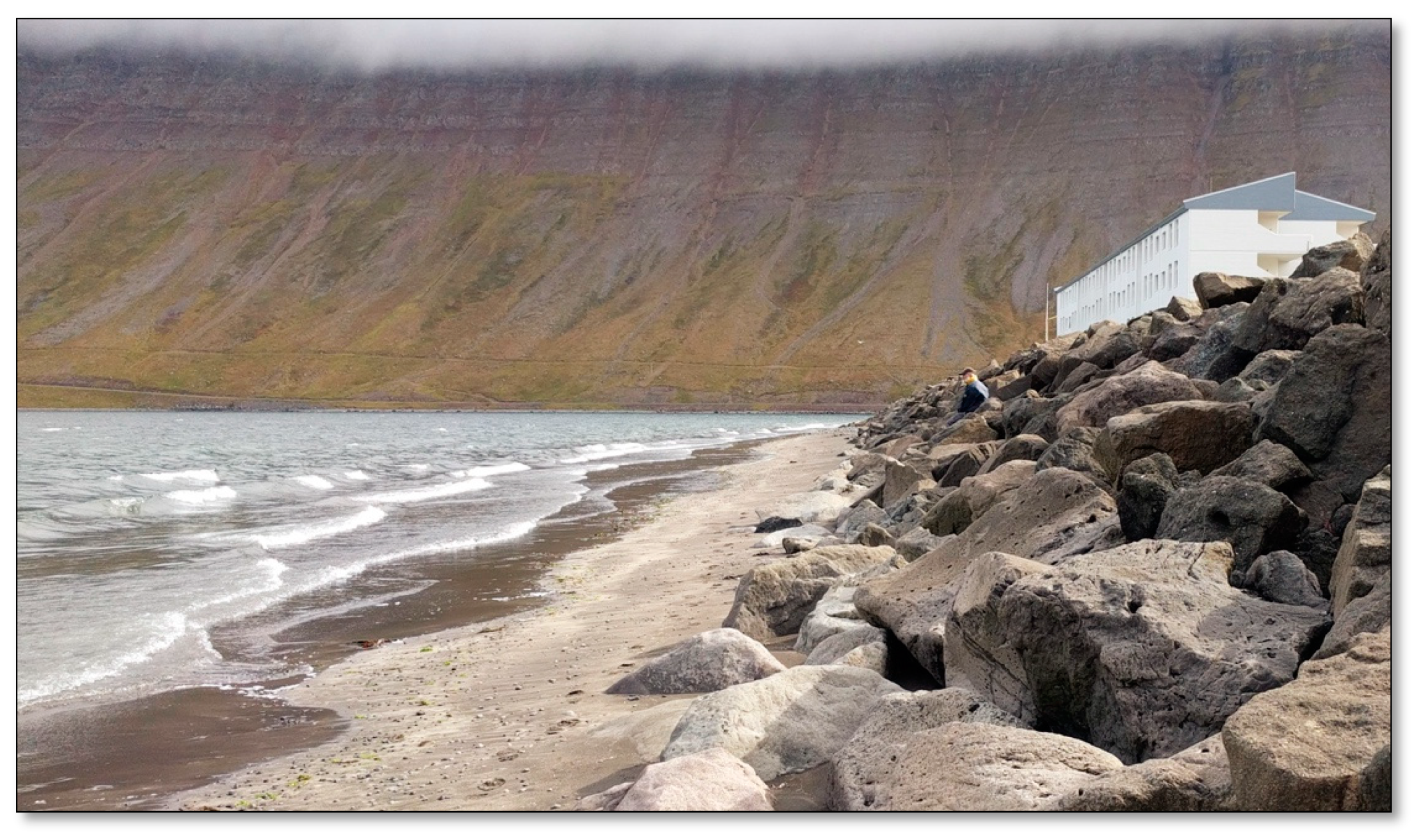 Ijerph 17 09095 g003