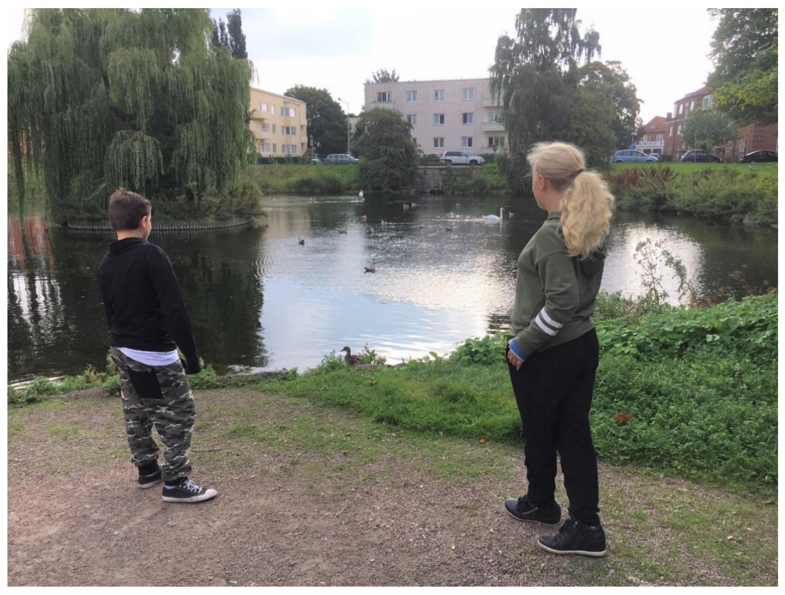 Ijerph 17 09357 g004