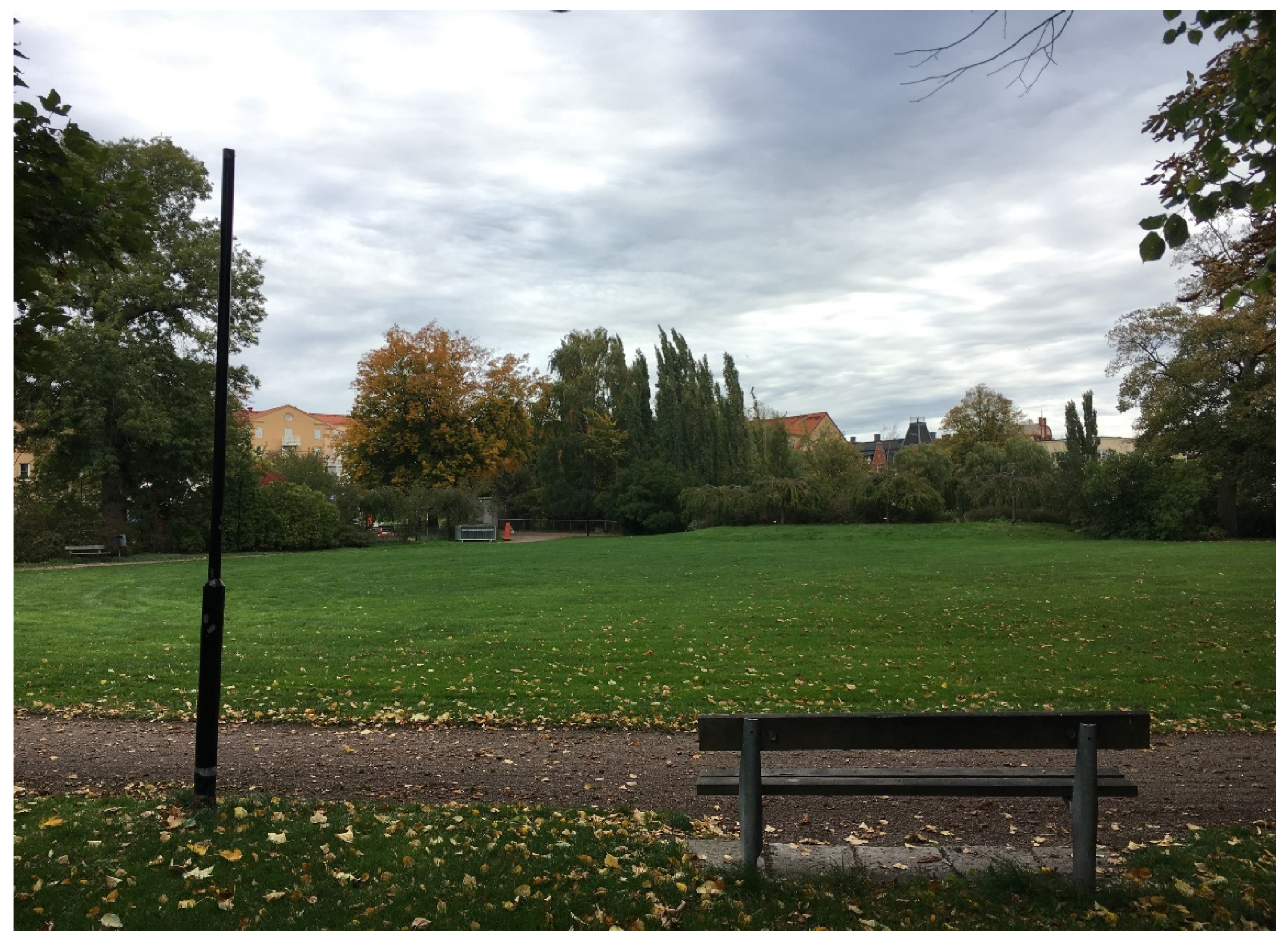 Ijerph 17 09357 g005