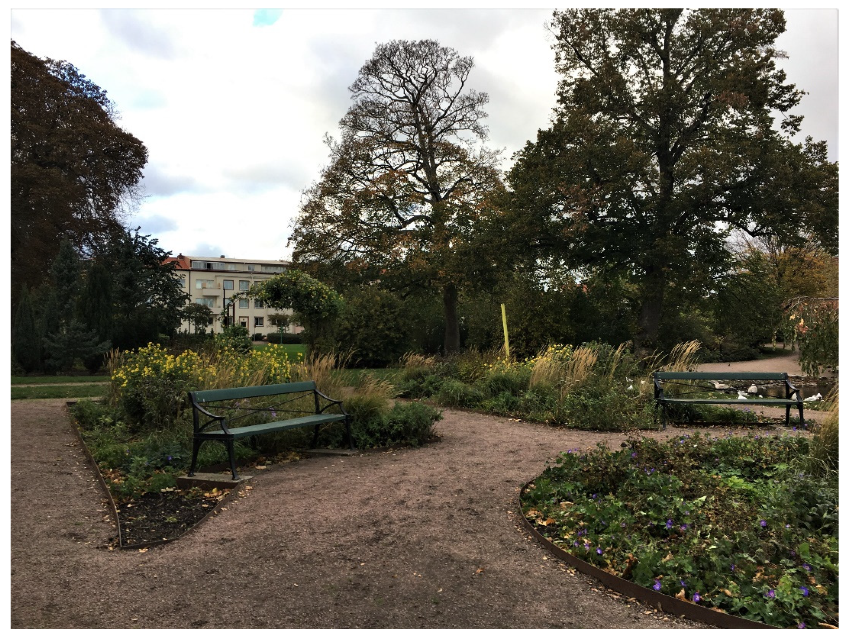 Ijerph 17 09357 g007