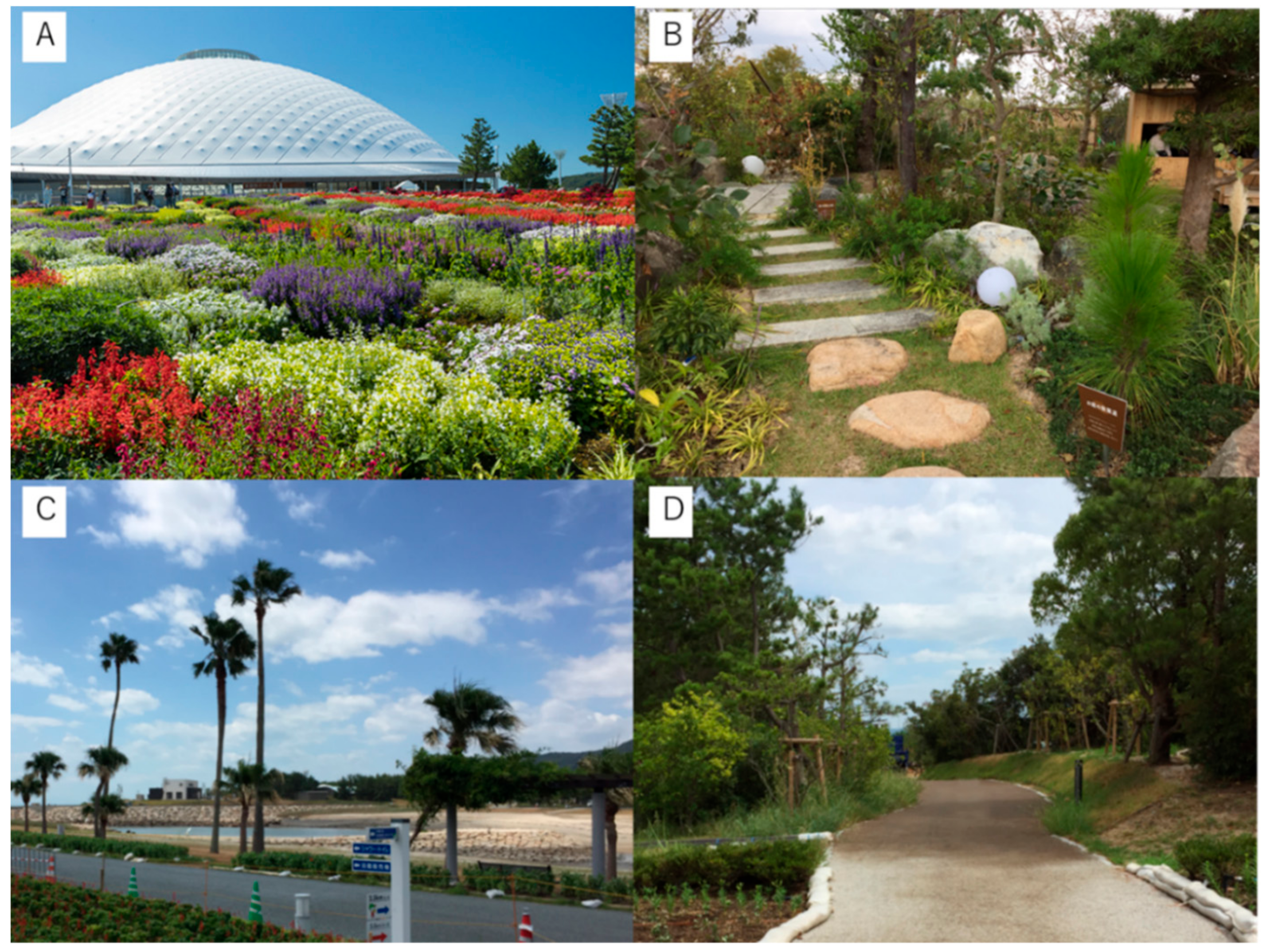 Ijerph 17 09465 g002