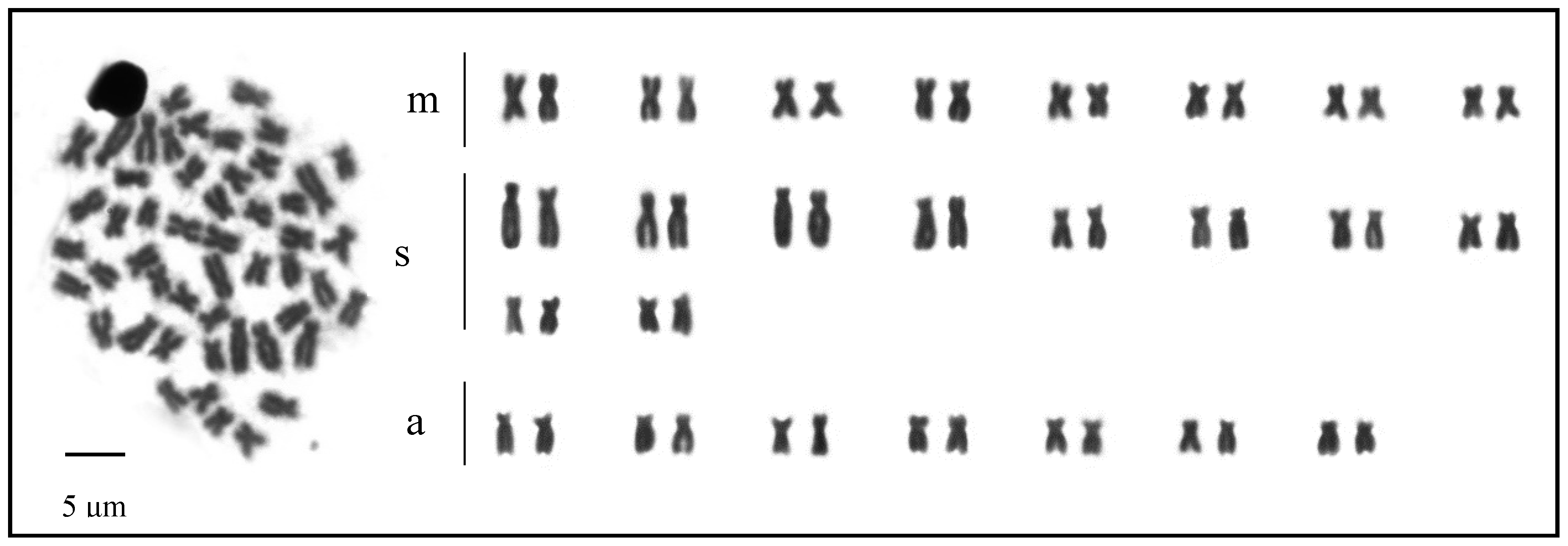 Ijerph 17 09492 g002