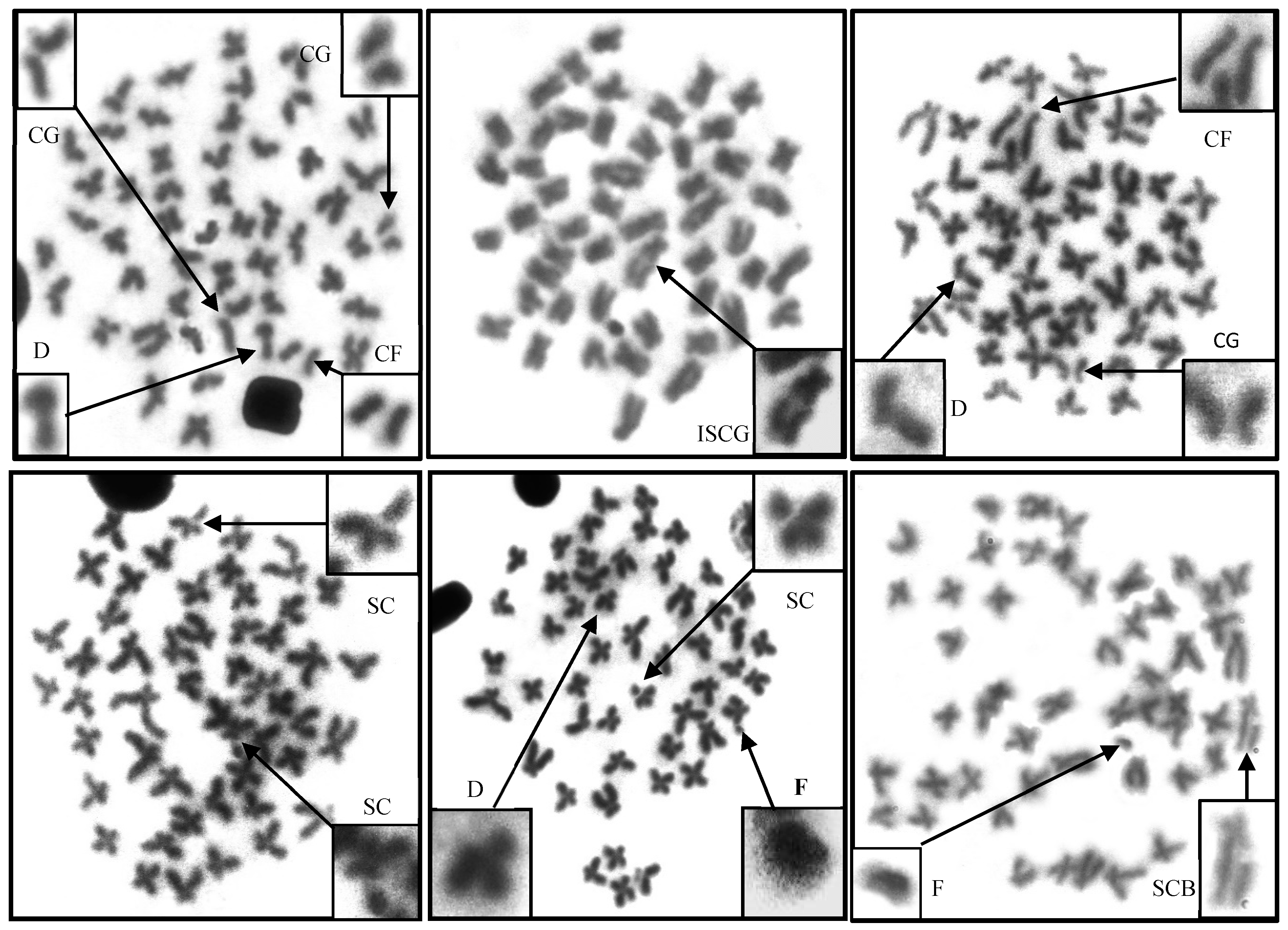 Ijerph 17 09492 g003