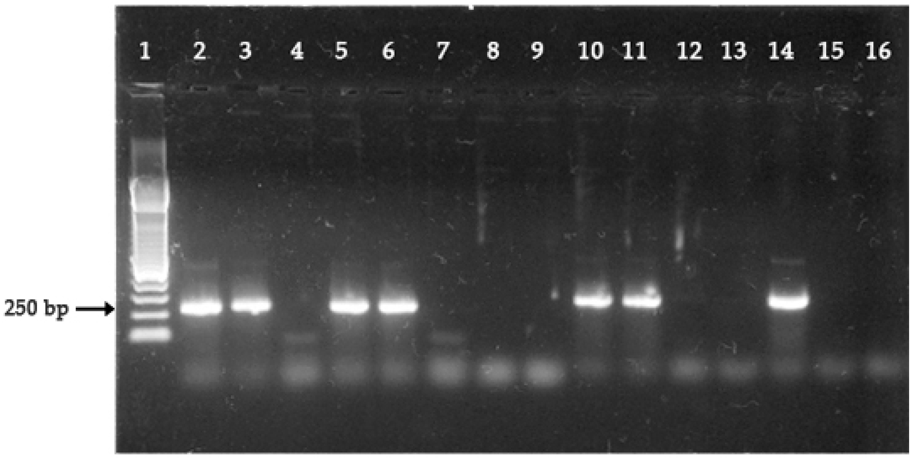 Ijerph 18 00123 g001