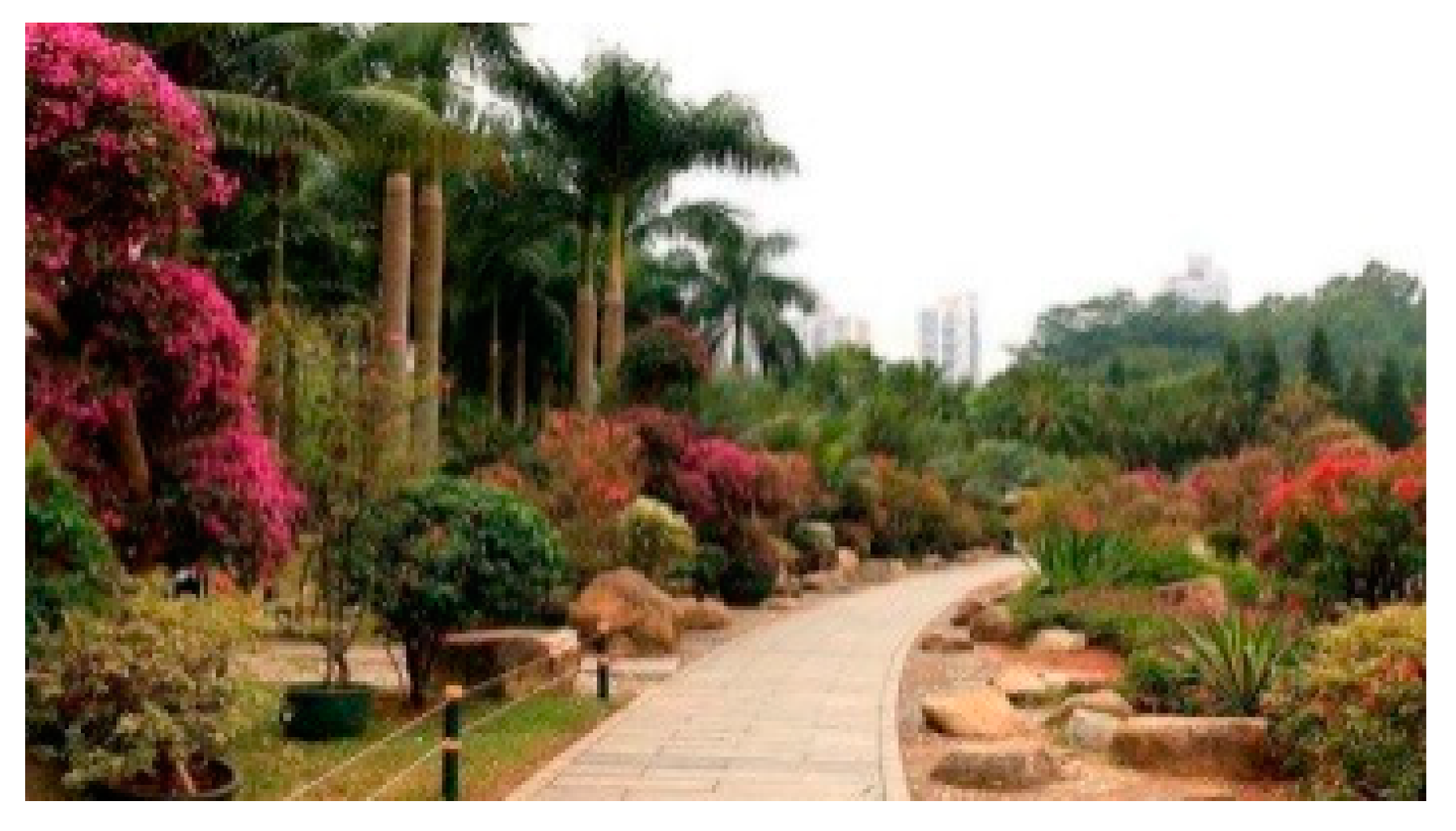 Ijerph 18 00253 i002 Ijerph 18 00253 i002