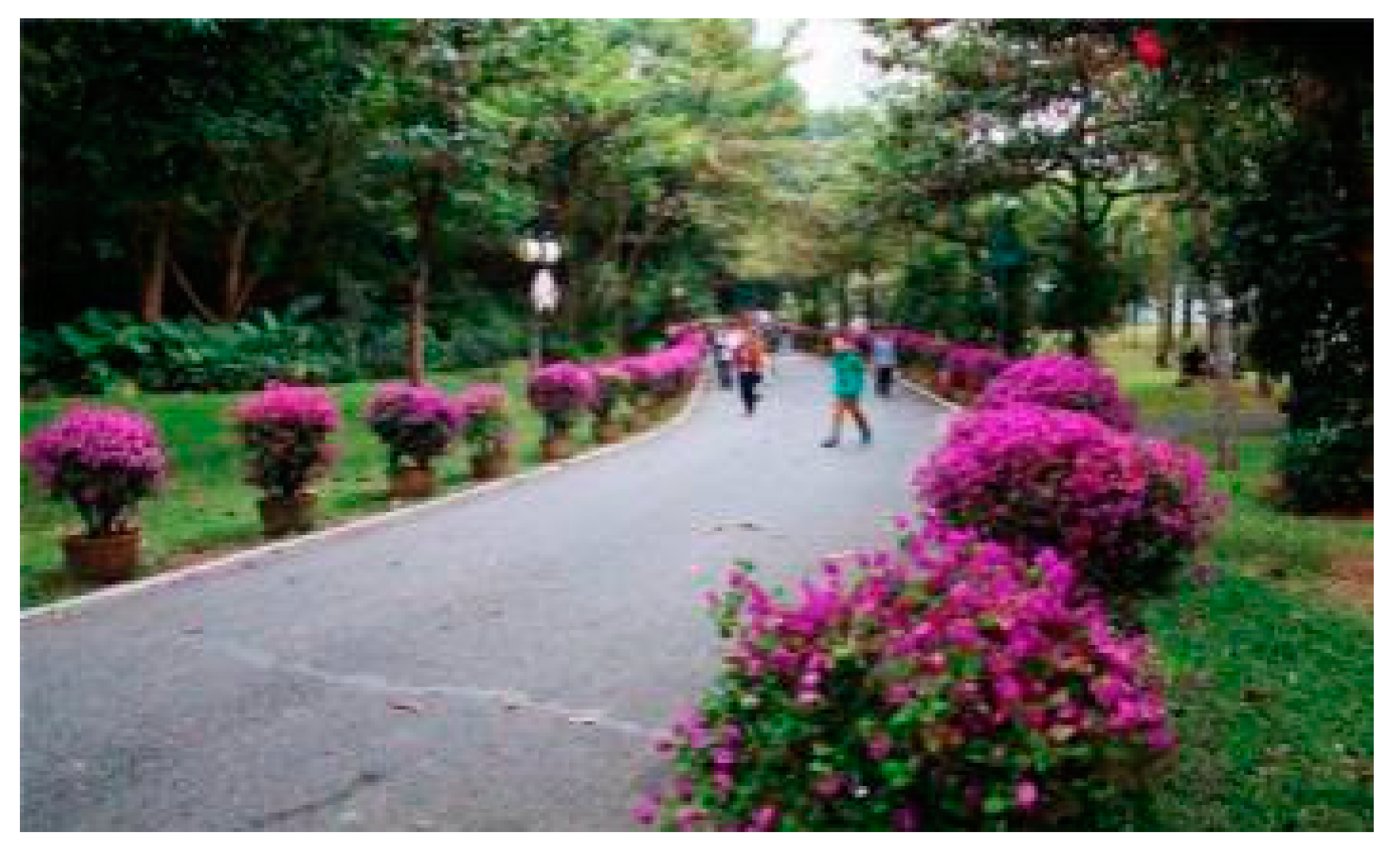 Ijerph 18 00253 i003 Ijerph 18 00253 i003