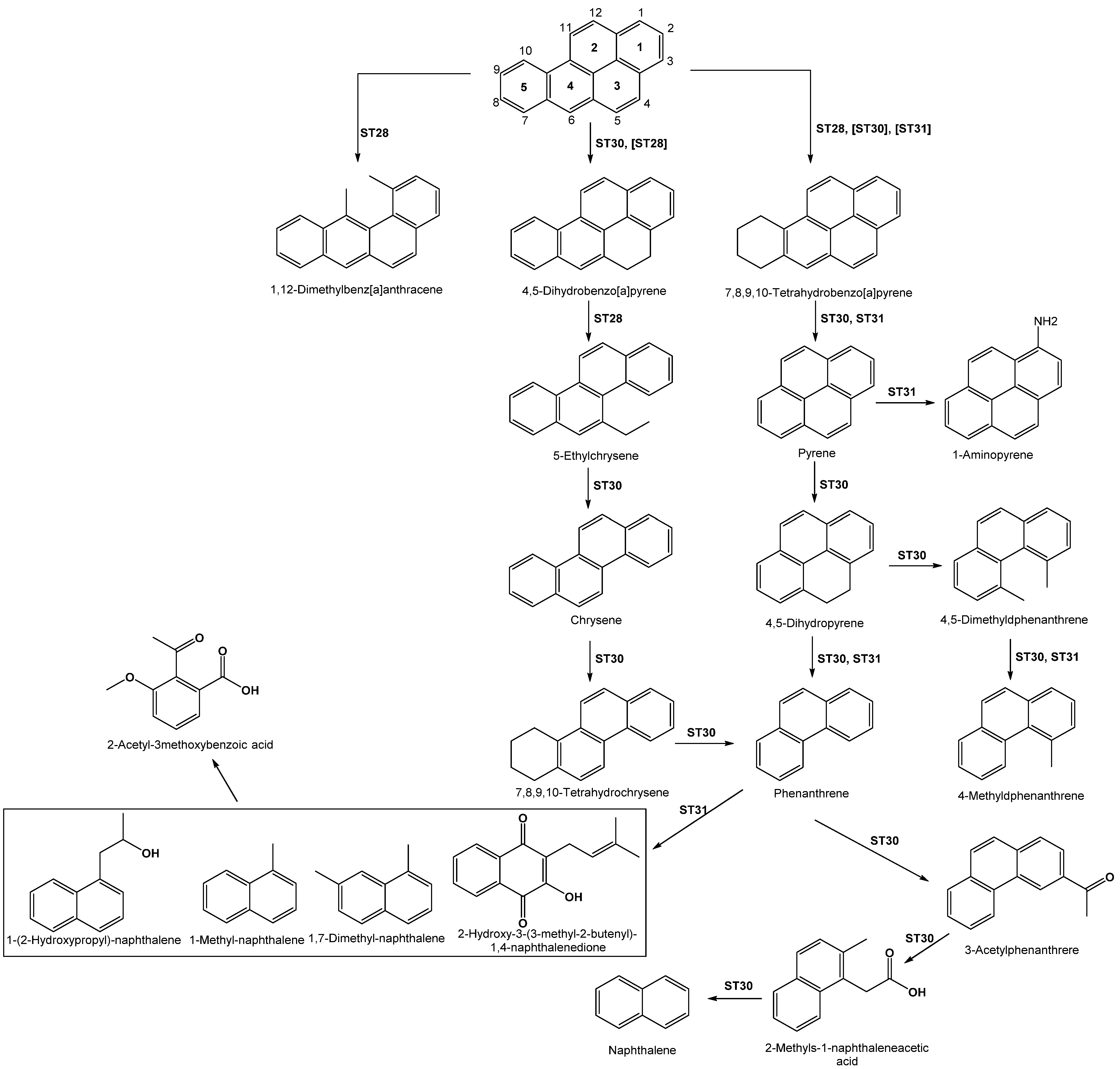 Ijerph 18 00262 sch002